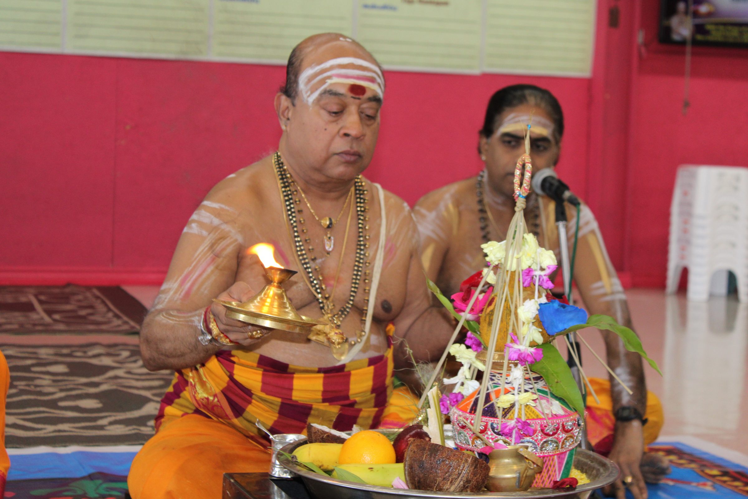 Festival 2024 photo