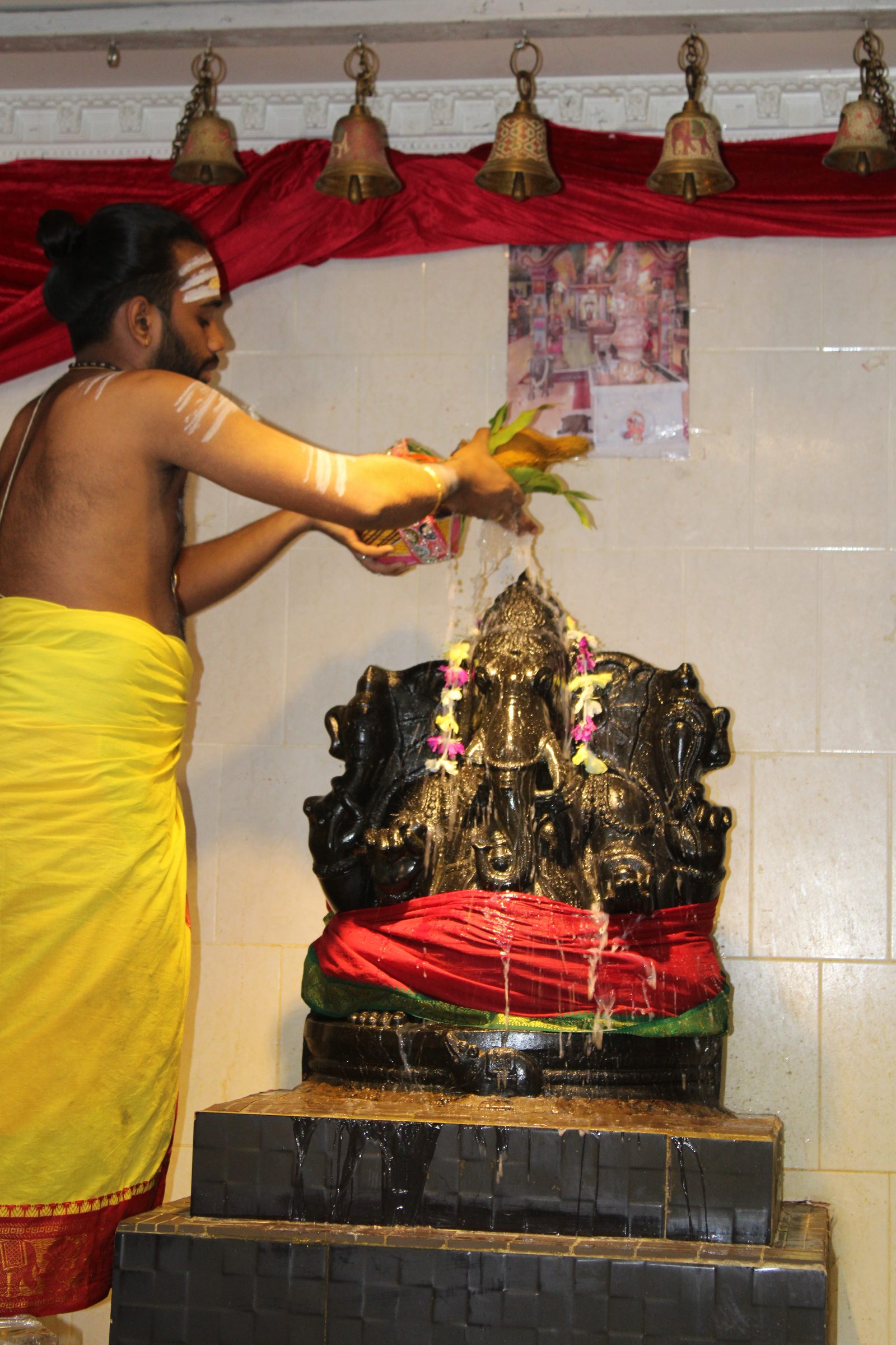 Festival 2024 photo