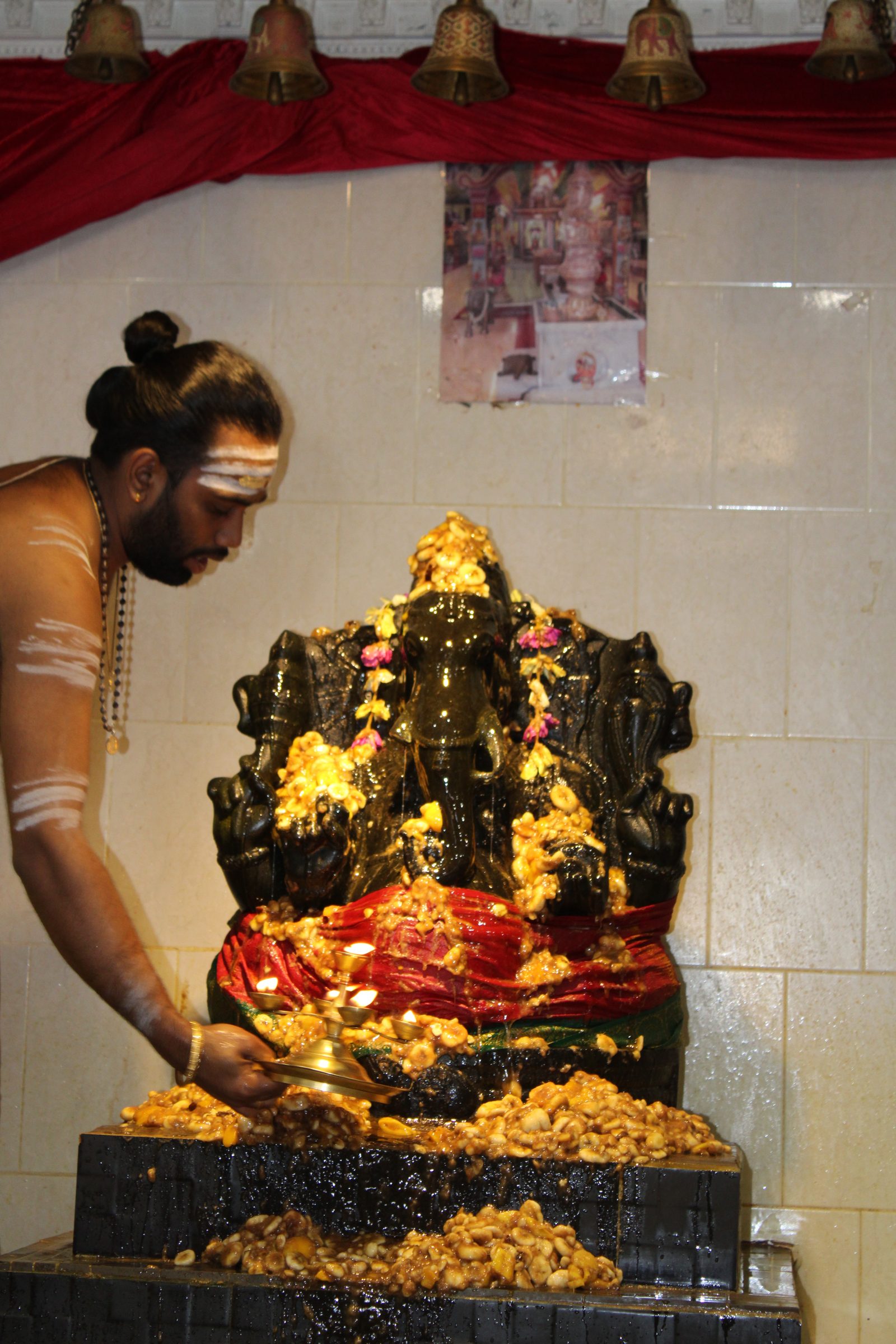 Festival 2024 photo
