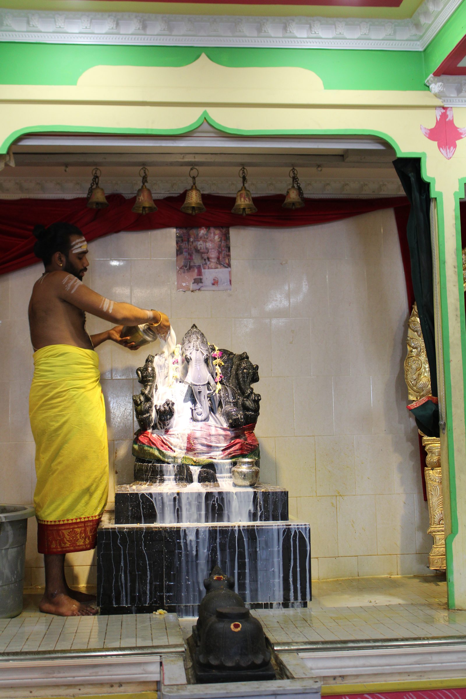 Festival 2024 photo