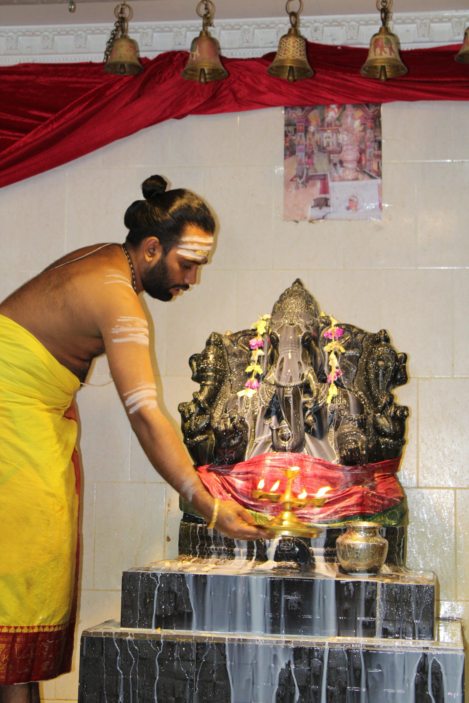 Festival 2024 photo