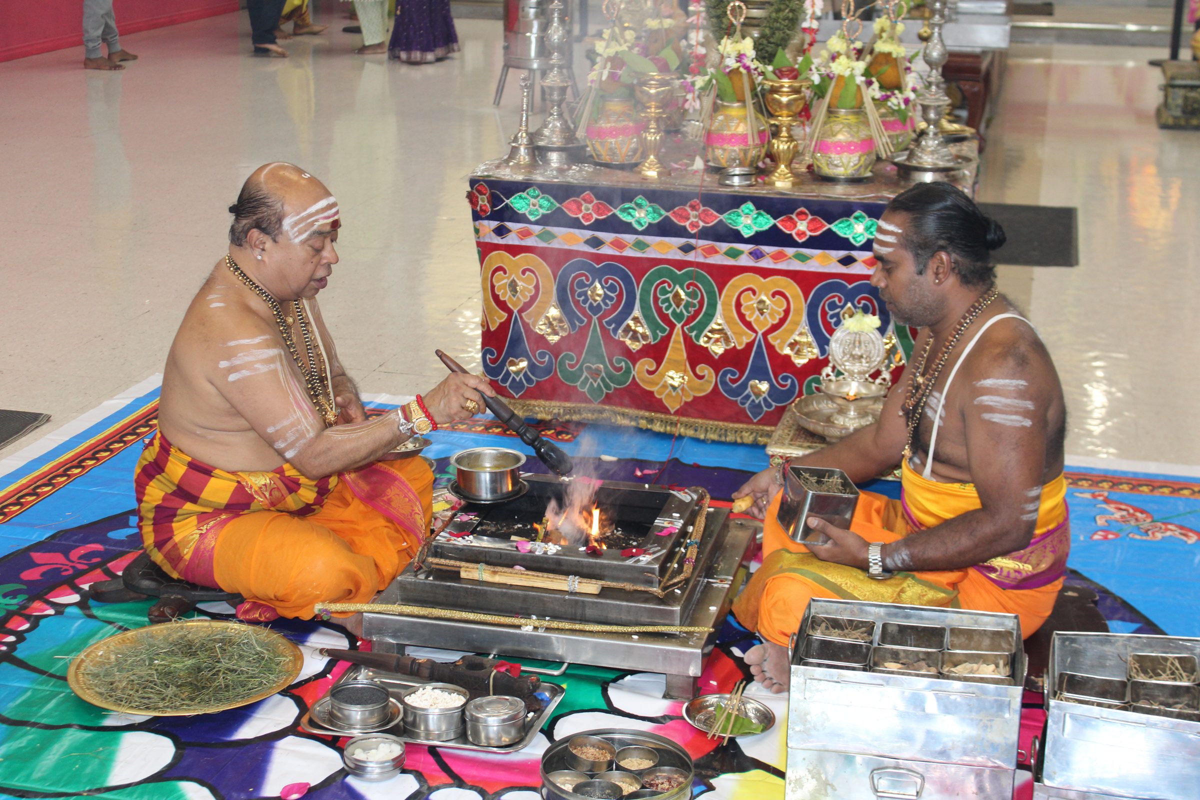 Festival 2024 photo