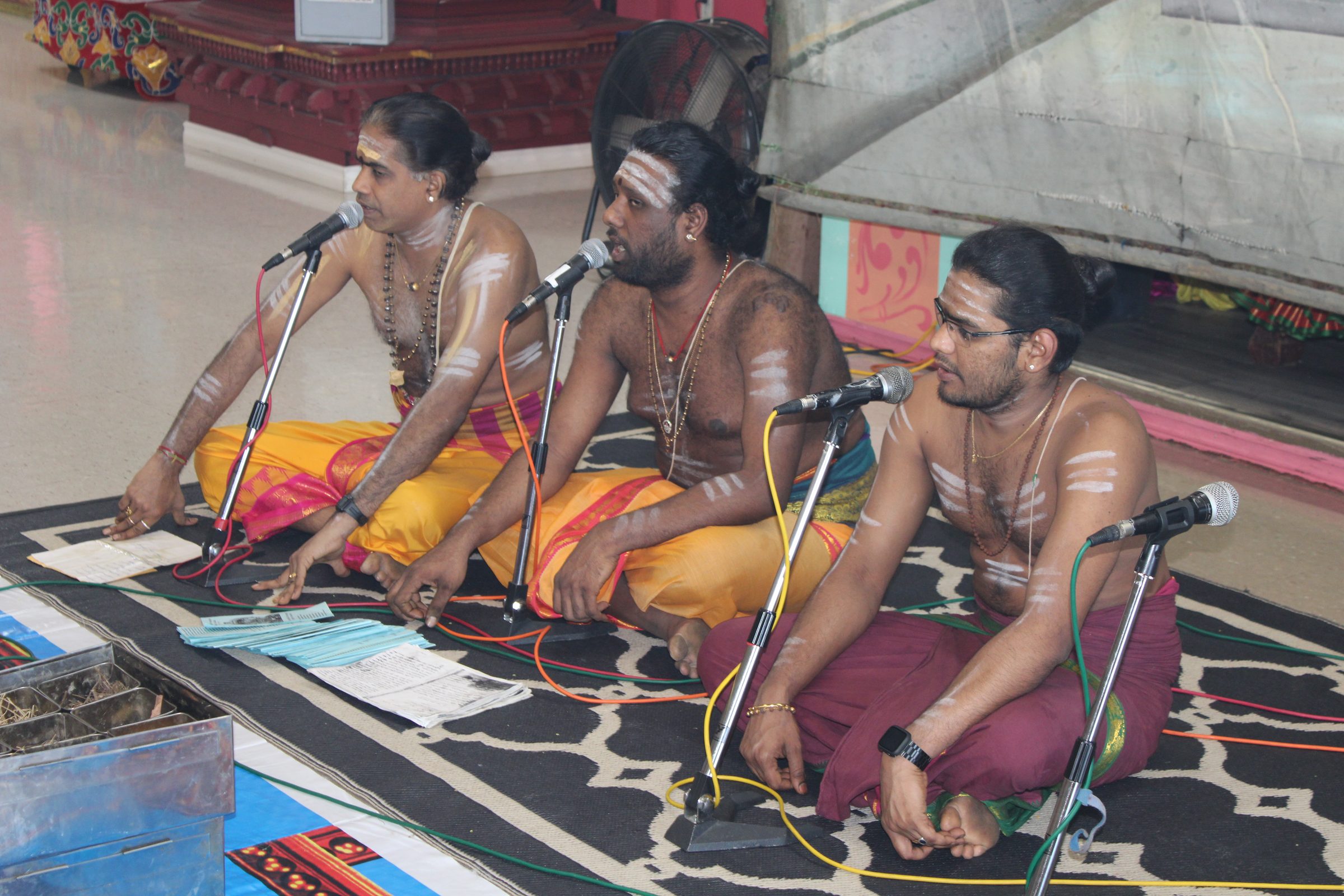 Festival 2024 photo