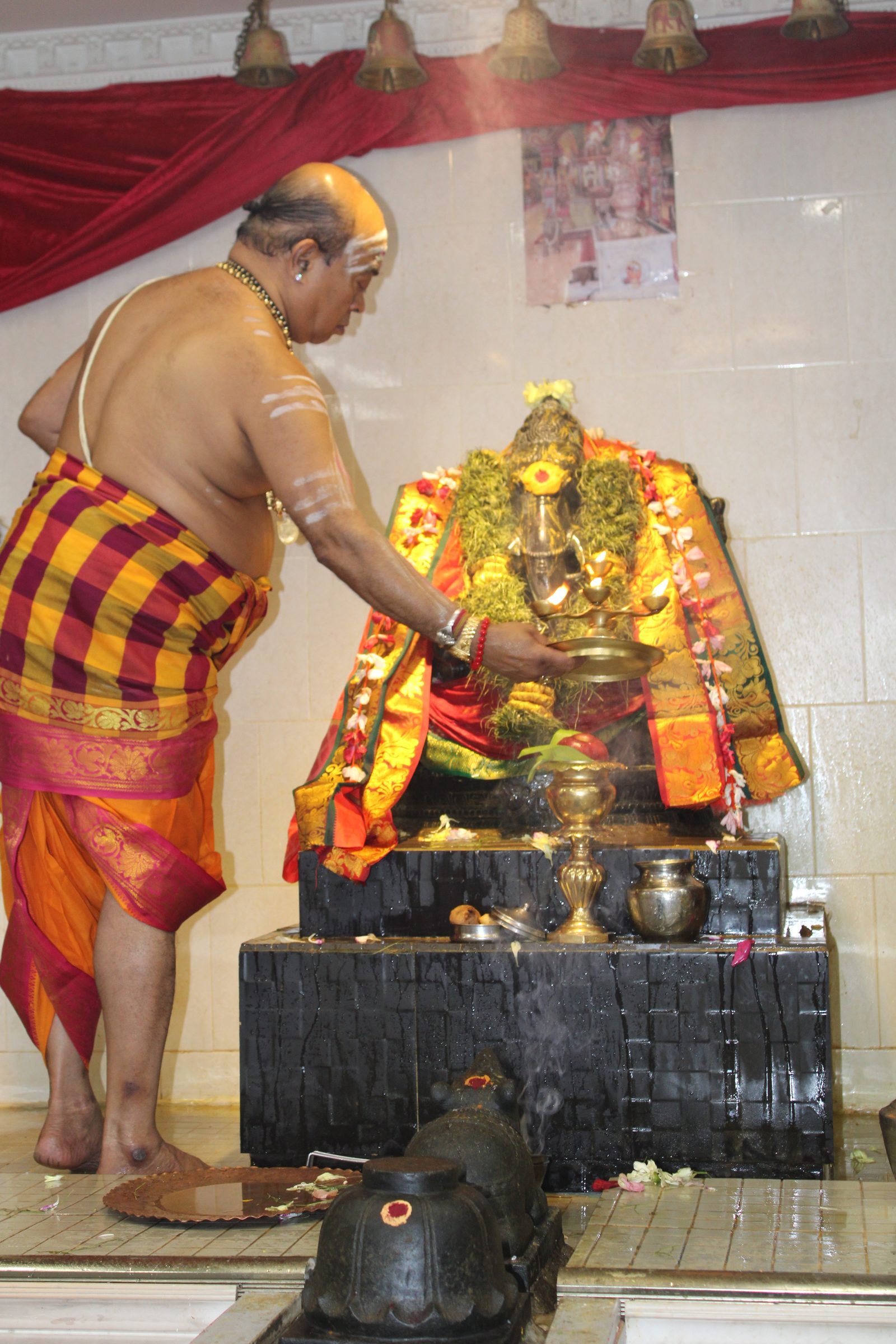 Festival 2024 photo