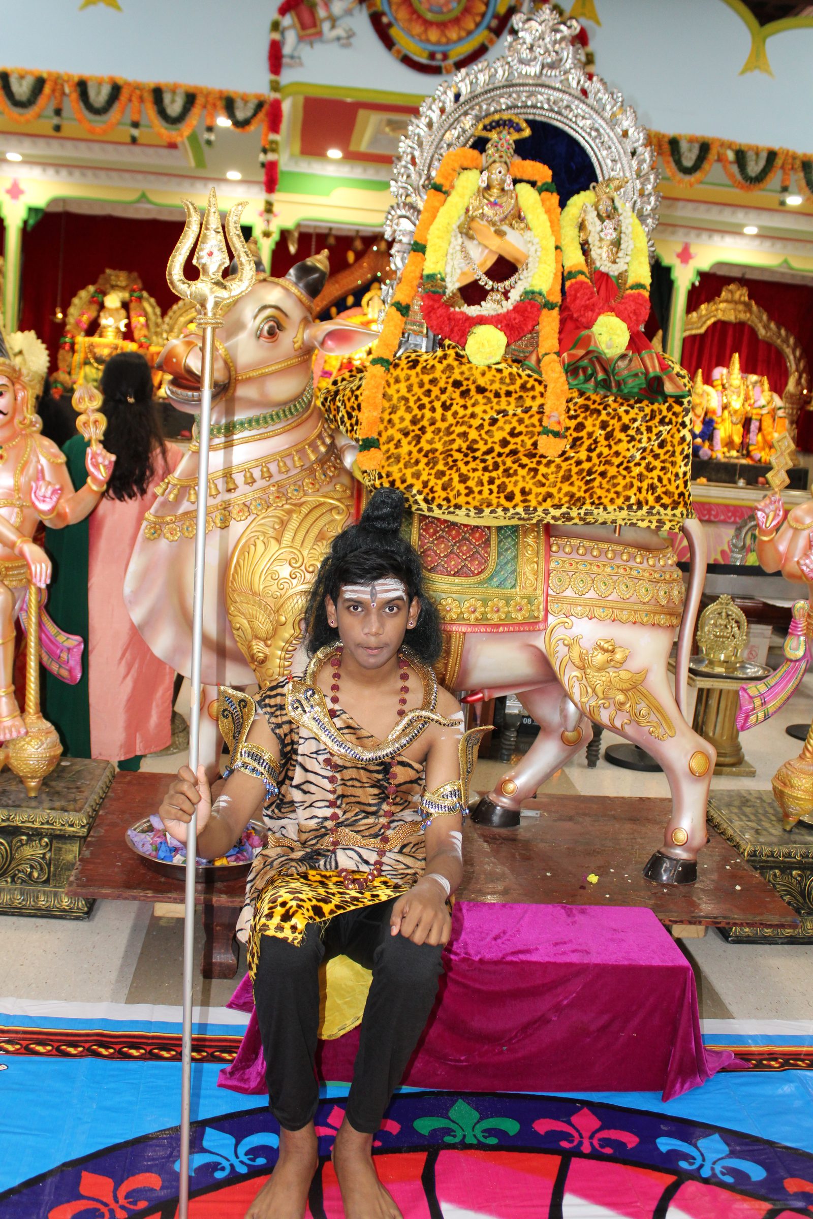 Festival 2024 photo