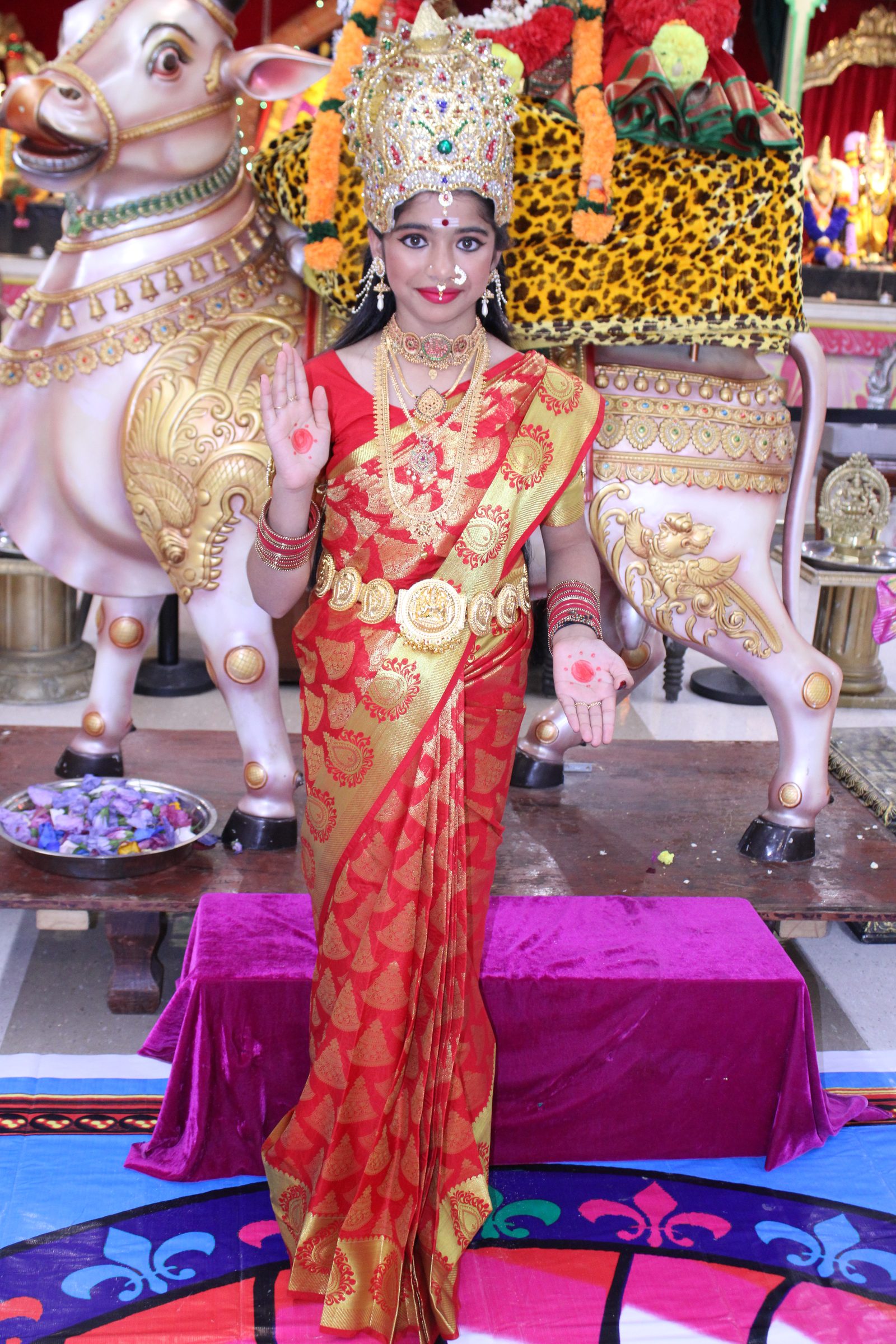 Festival 2024 photo