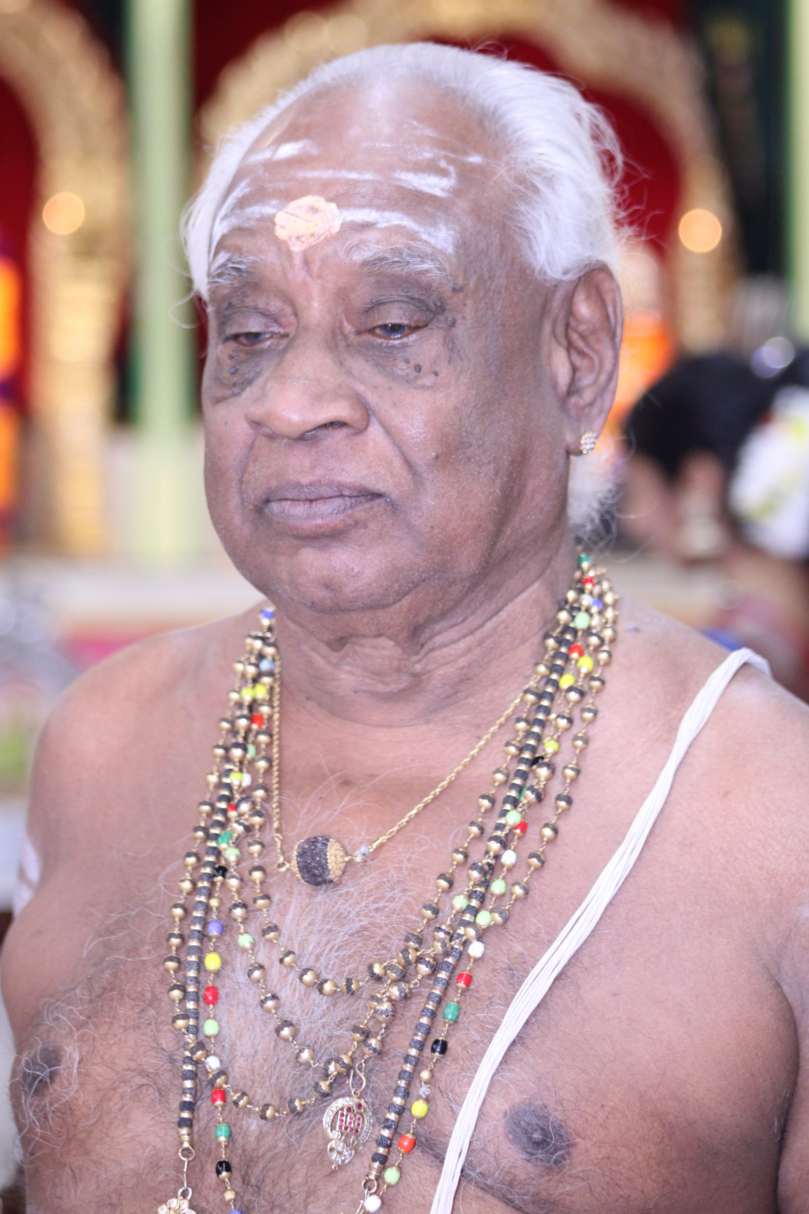 Festival 2024 photo