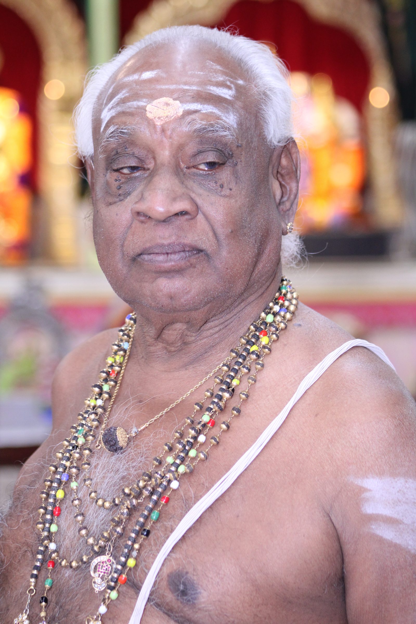 Festival 2024 photo