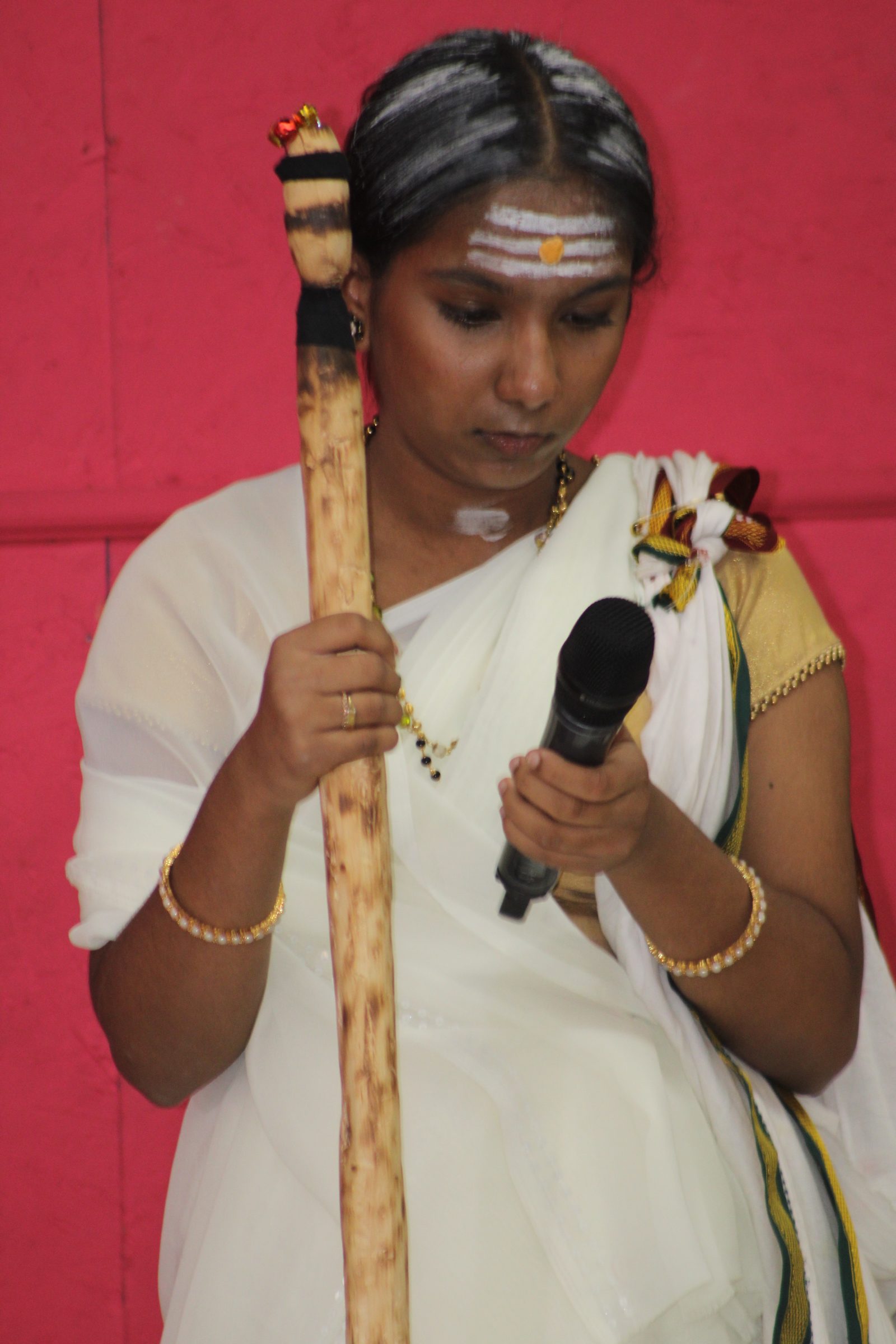 Festival 2024 photo