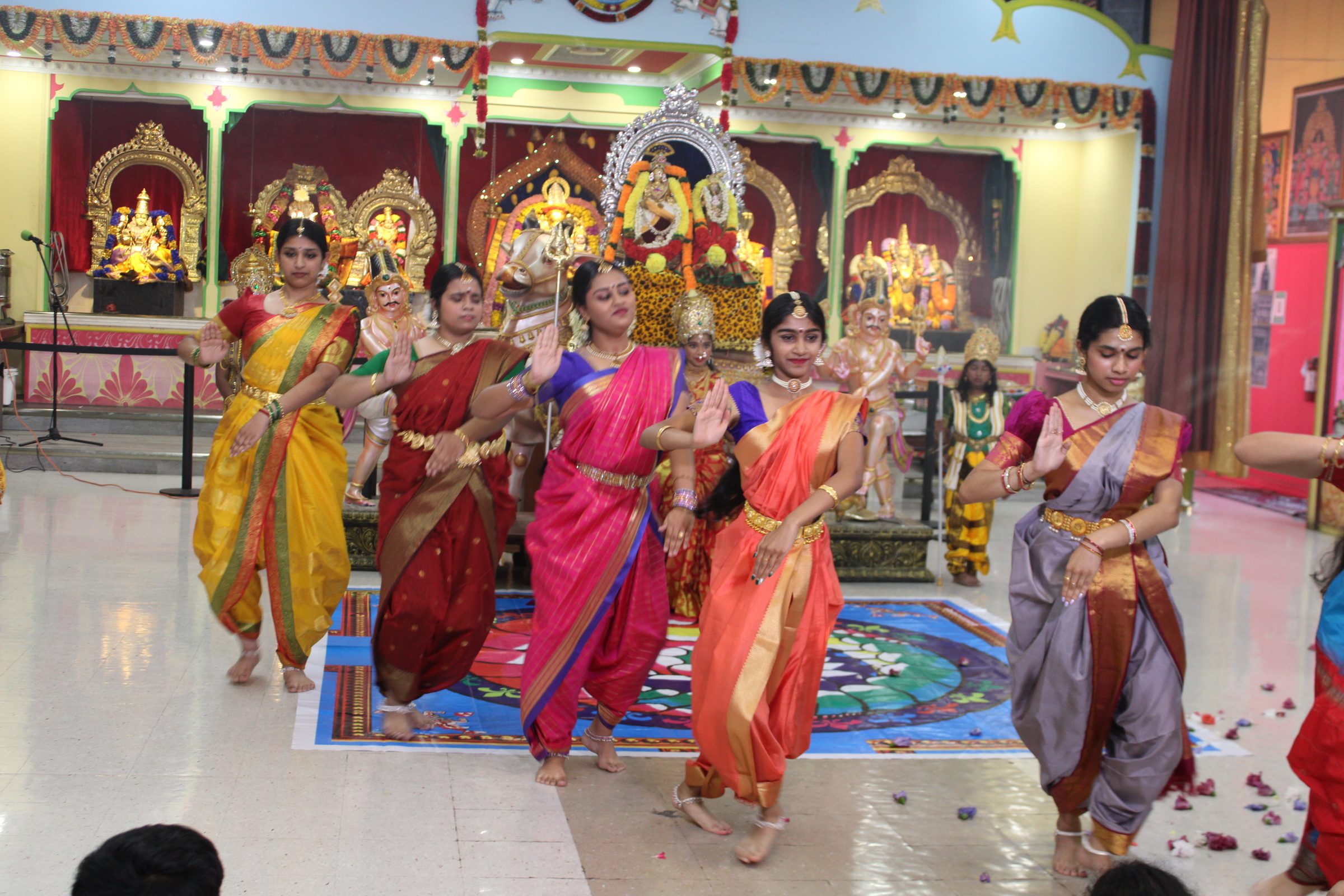 Festival 2024 photo