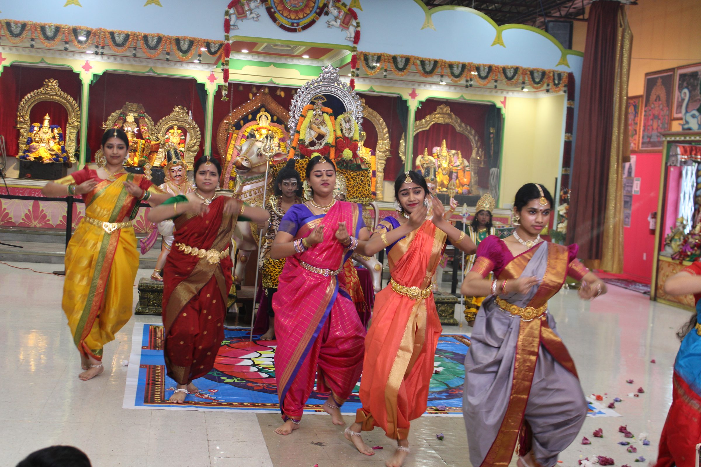 Festival 2024 photo