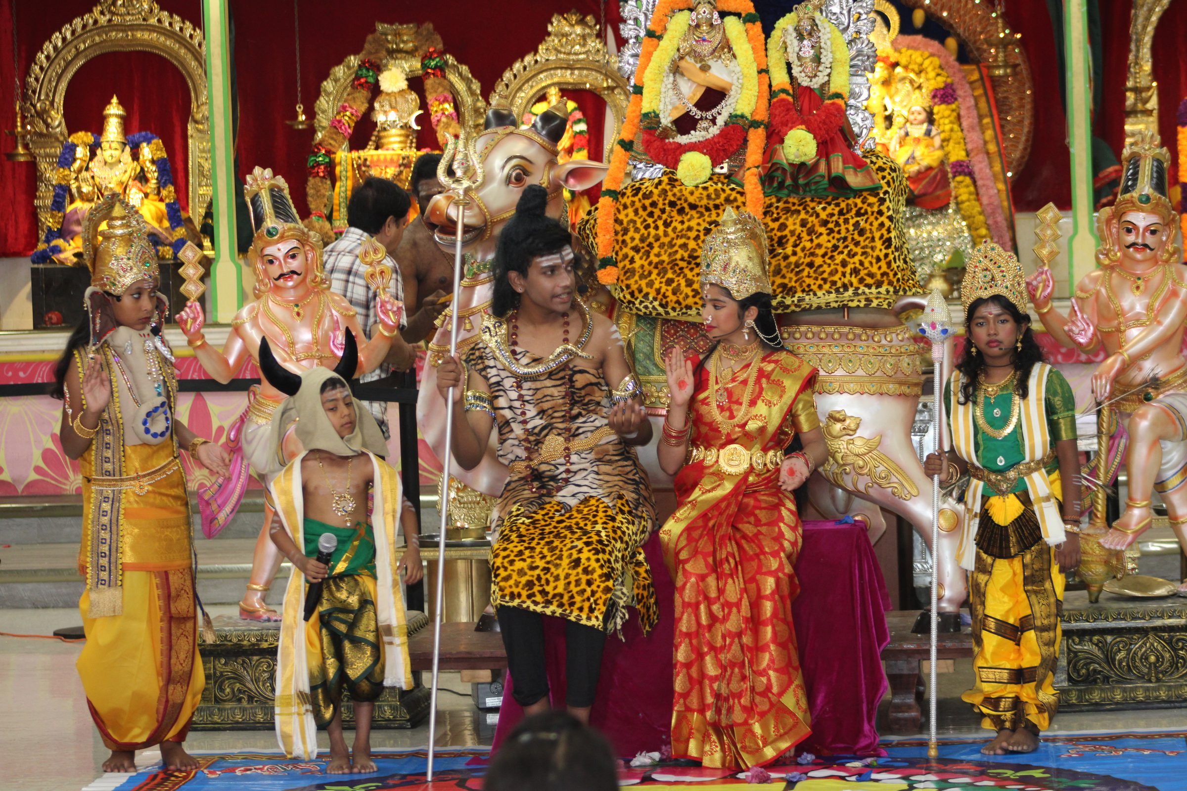 Festival 2024 photo