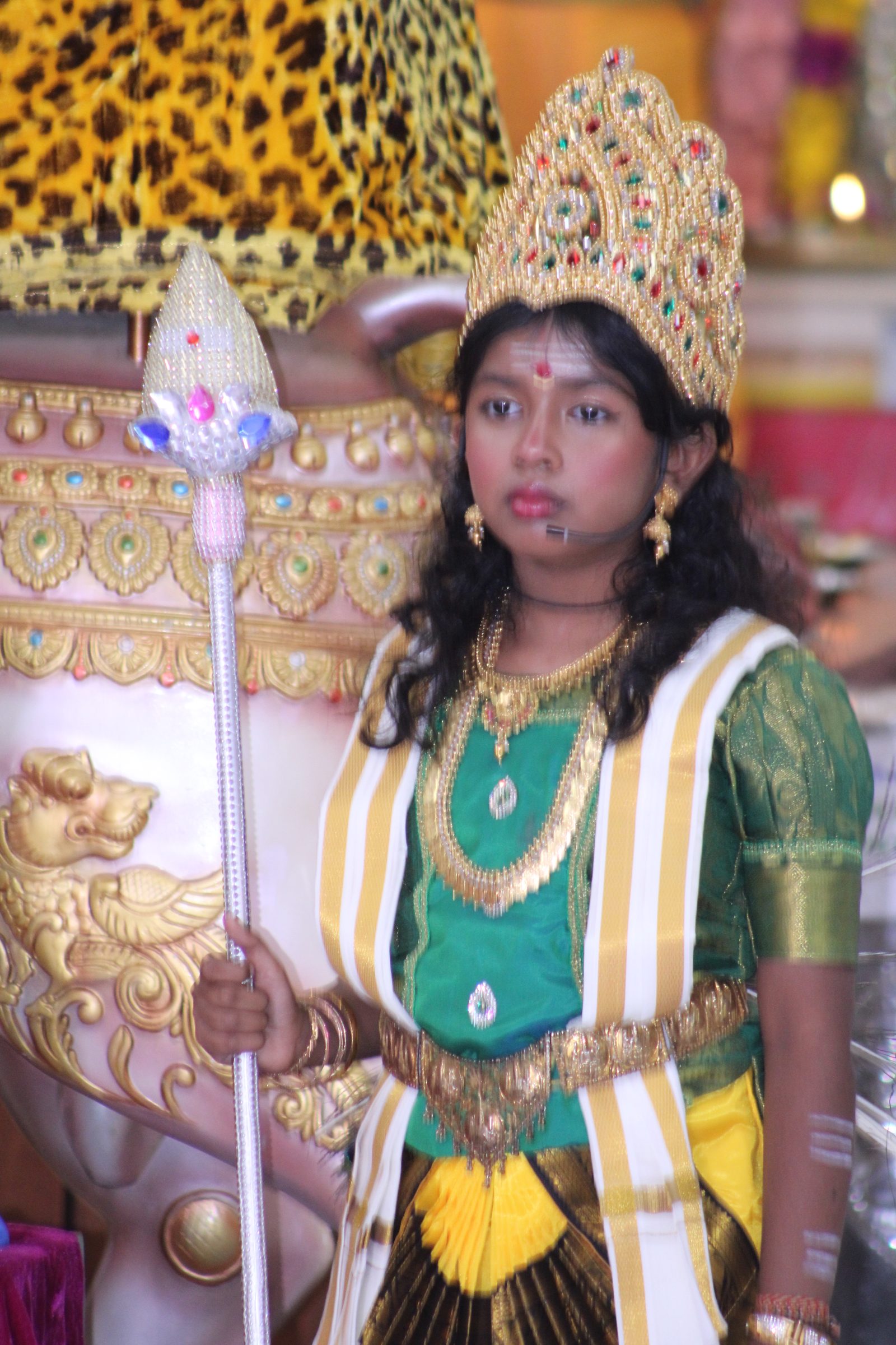 Festival 2024 photo
