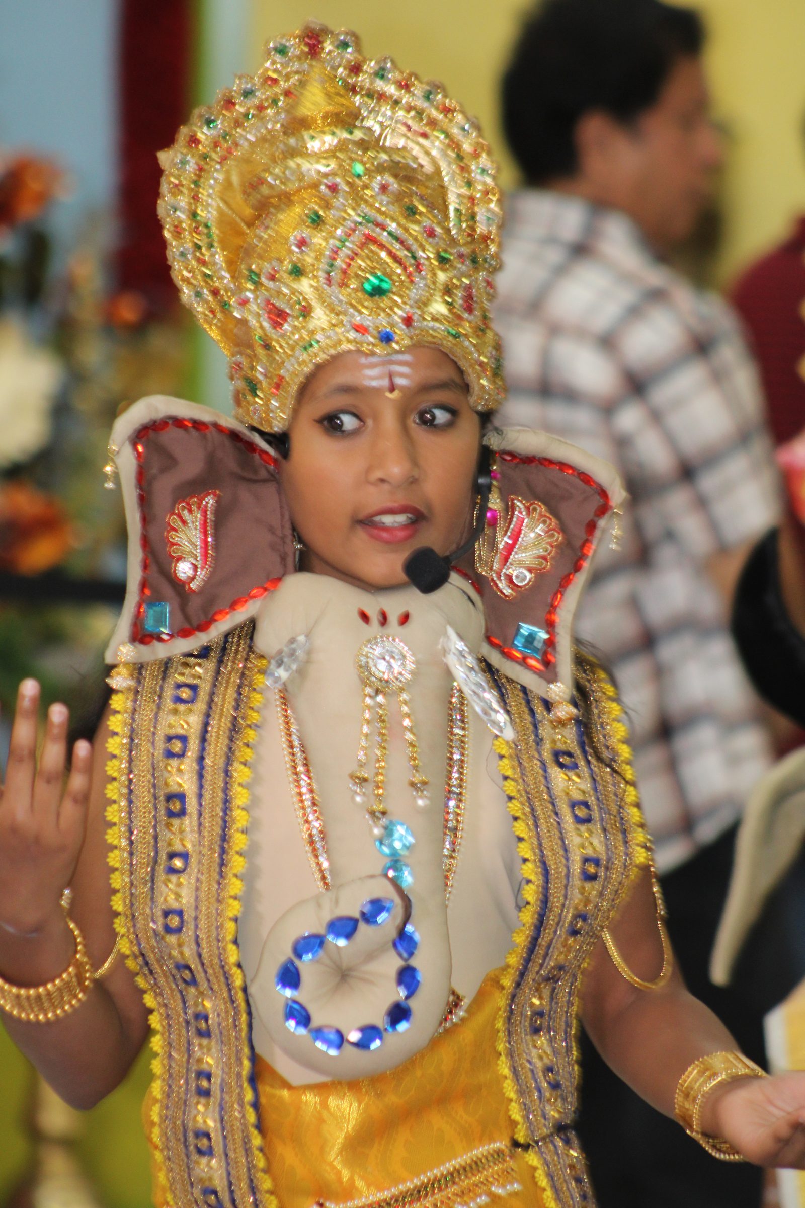 Festival 2024 photo
