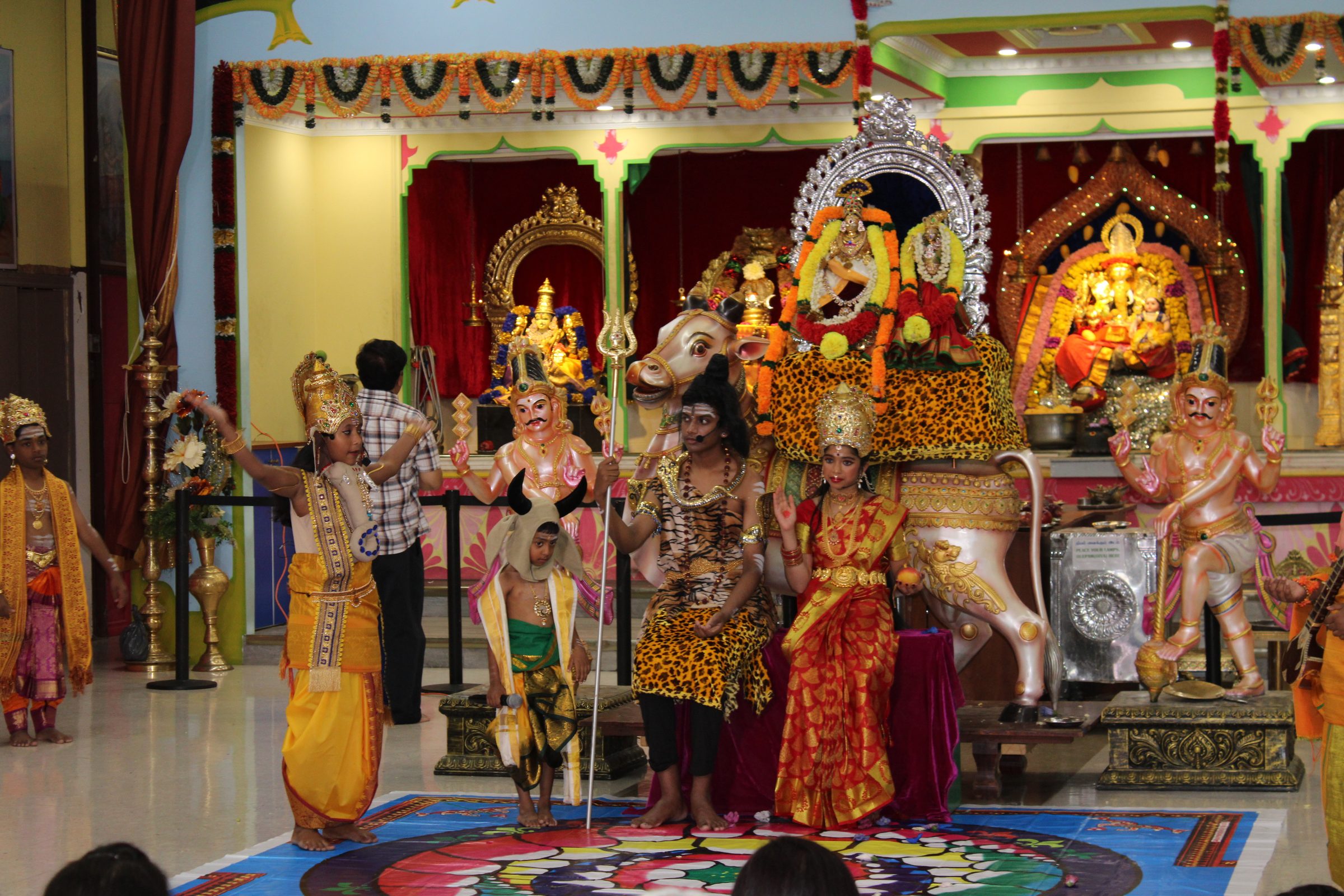 Festival 2024 photo
