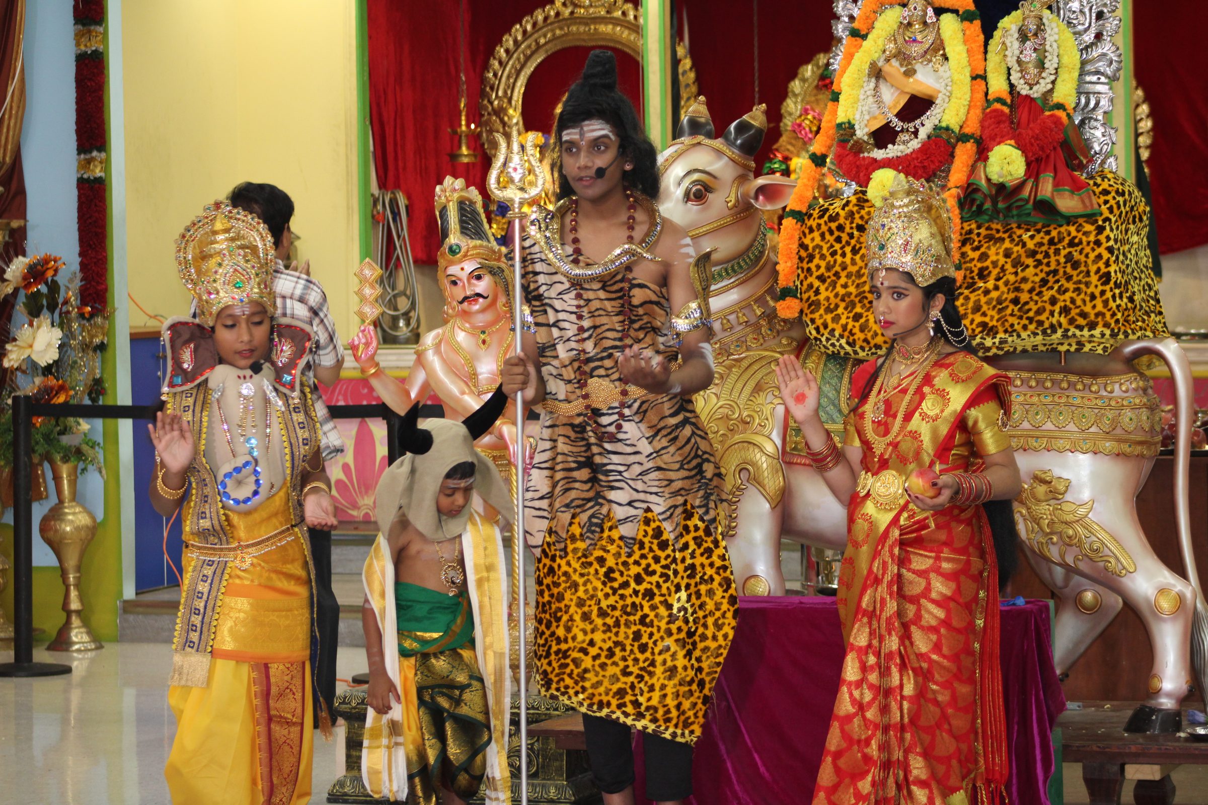 Festival 2024 photo