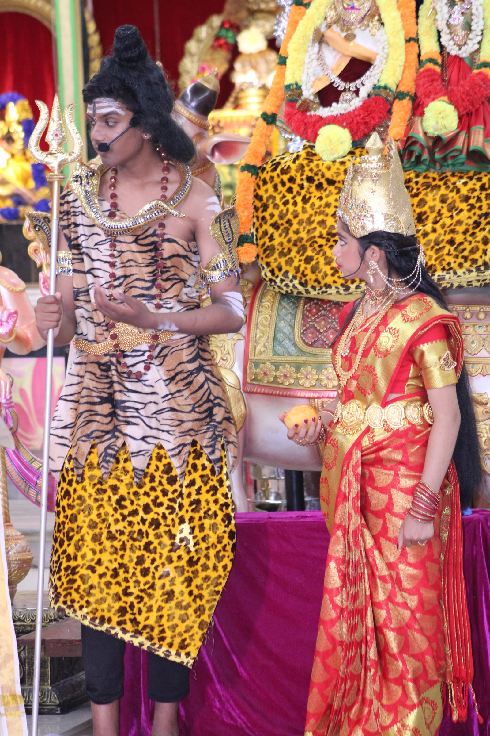 Festival 2024 photo