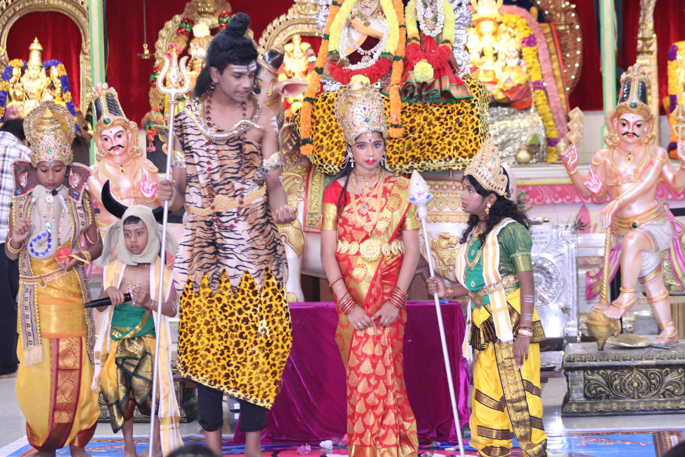 Festival 2024 photo