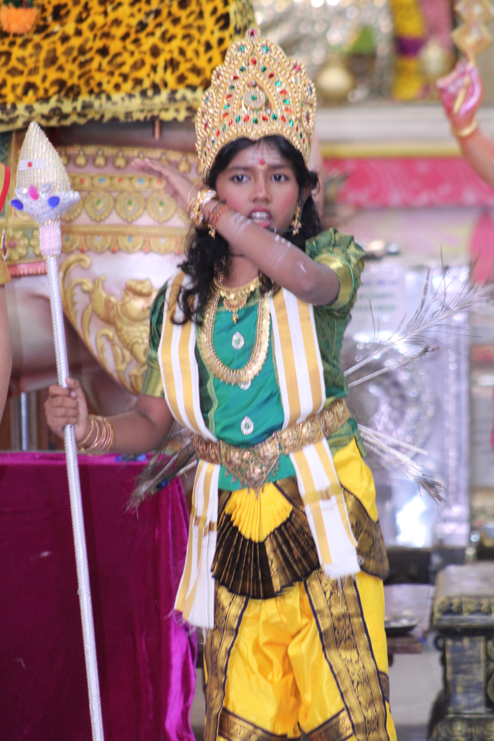 Festival 2024 photo