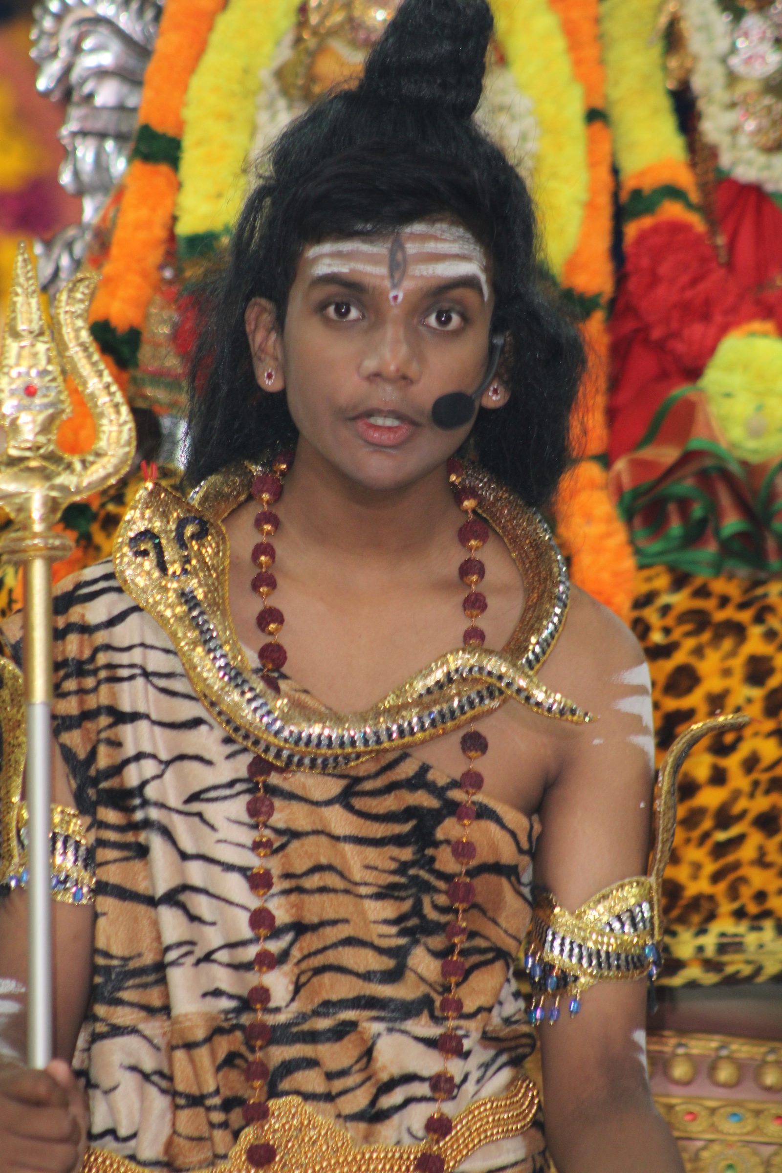Festival 2024 photo