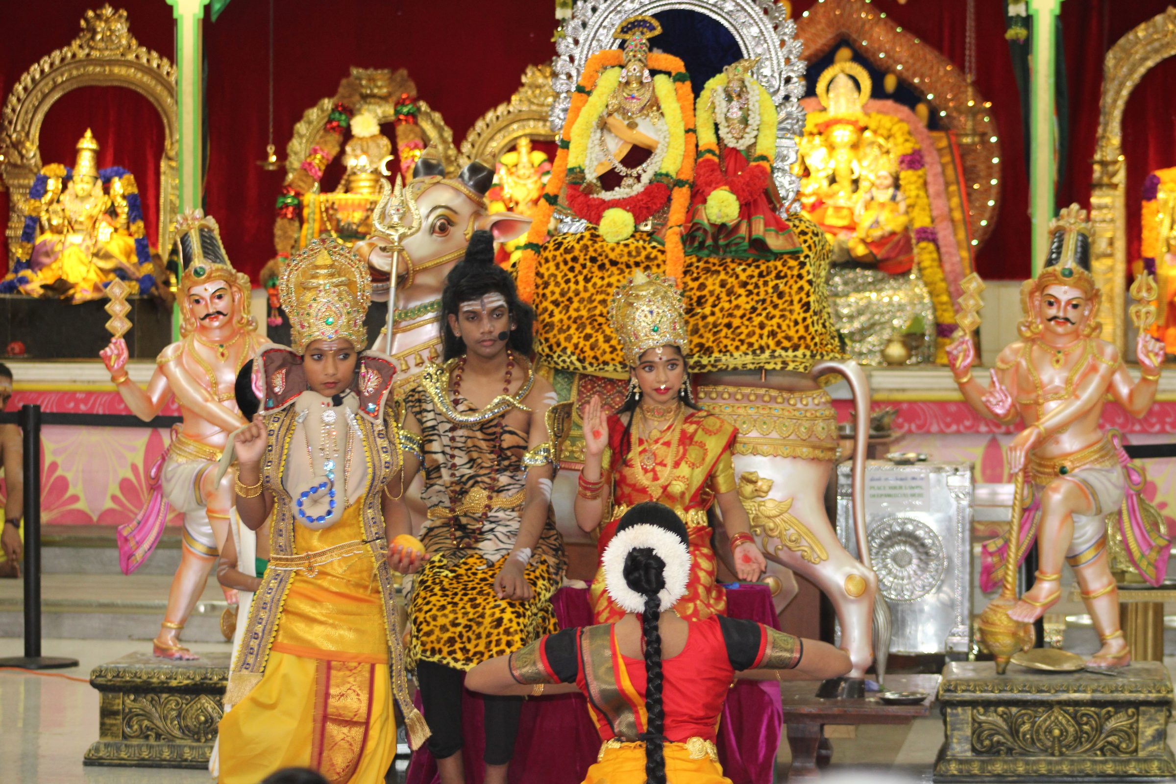 Festival 2024 photo