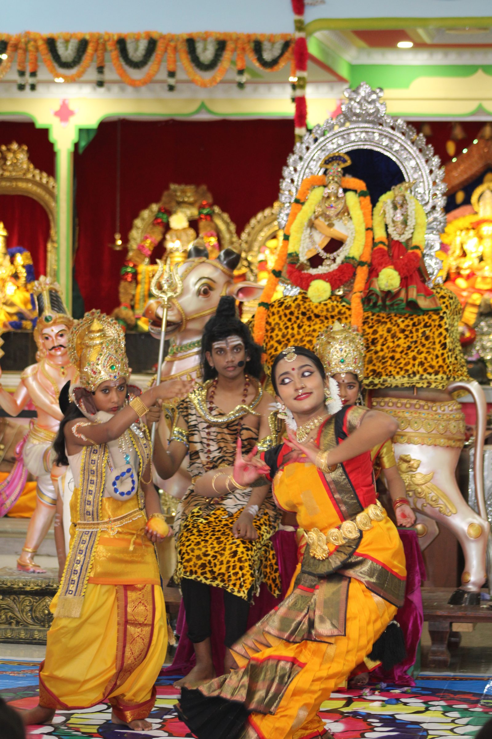 Festival 2024 photo