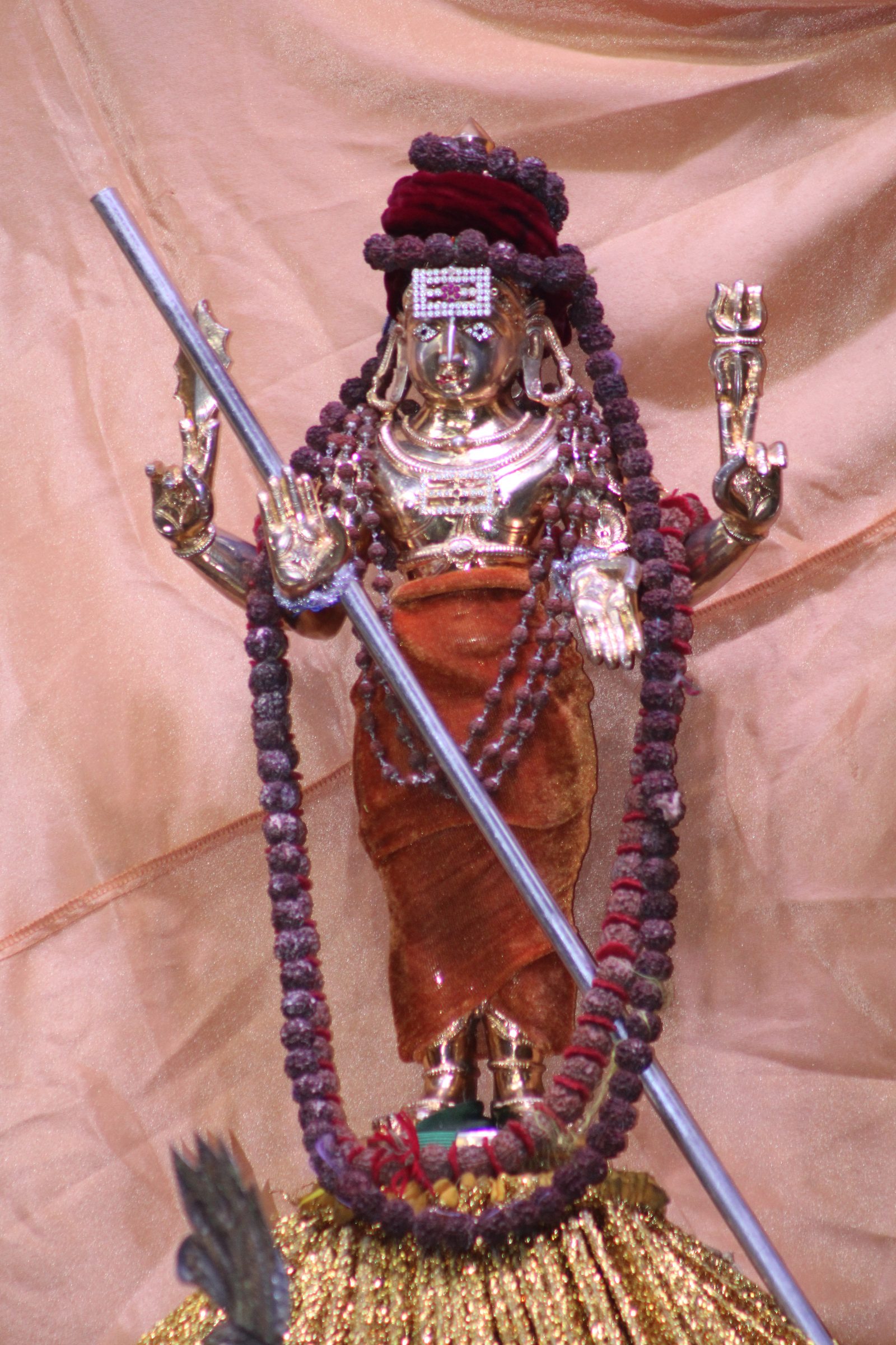 Festival 2024 photo