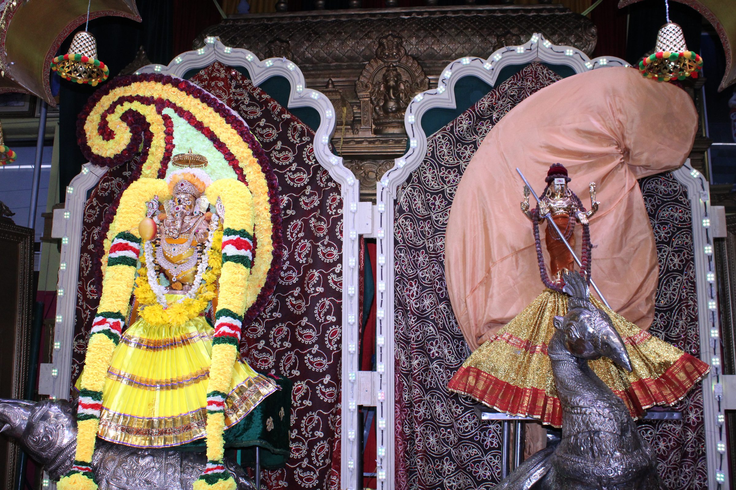 Festival 2024 photo