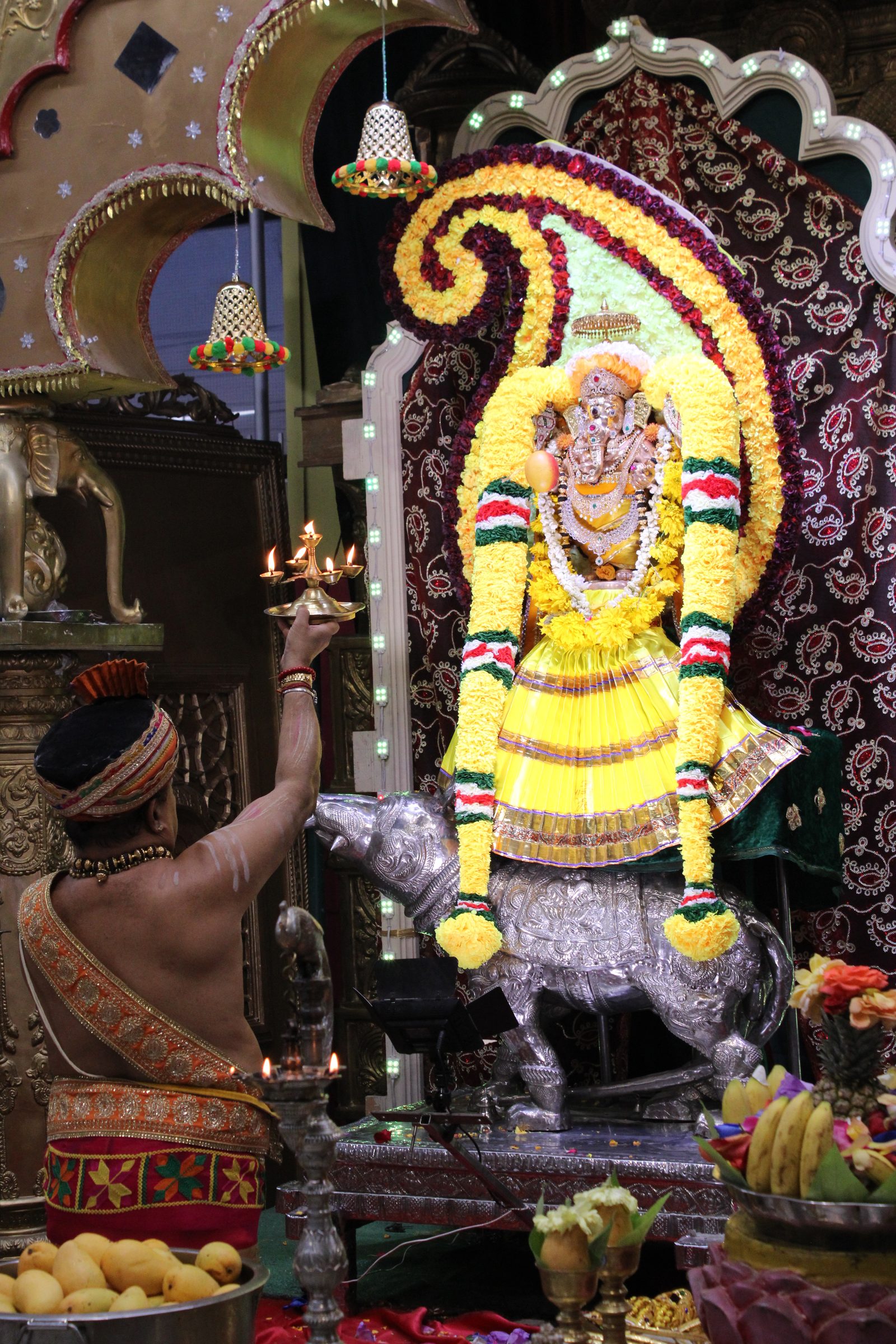 Festival 2024 photo