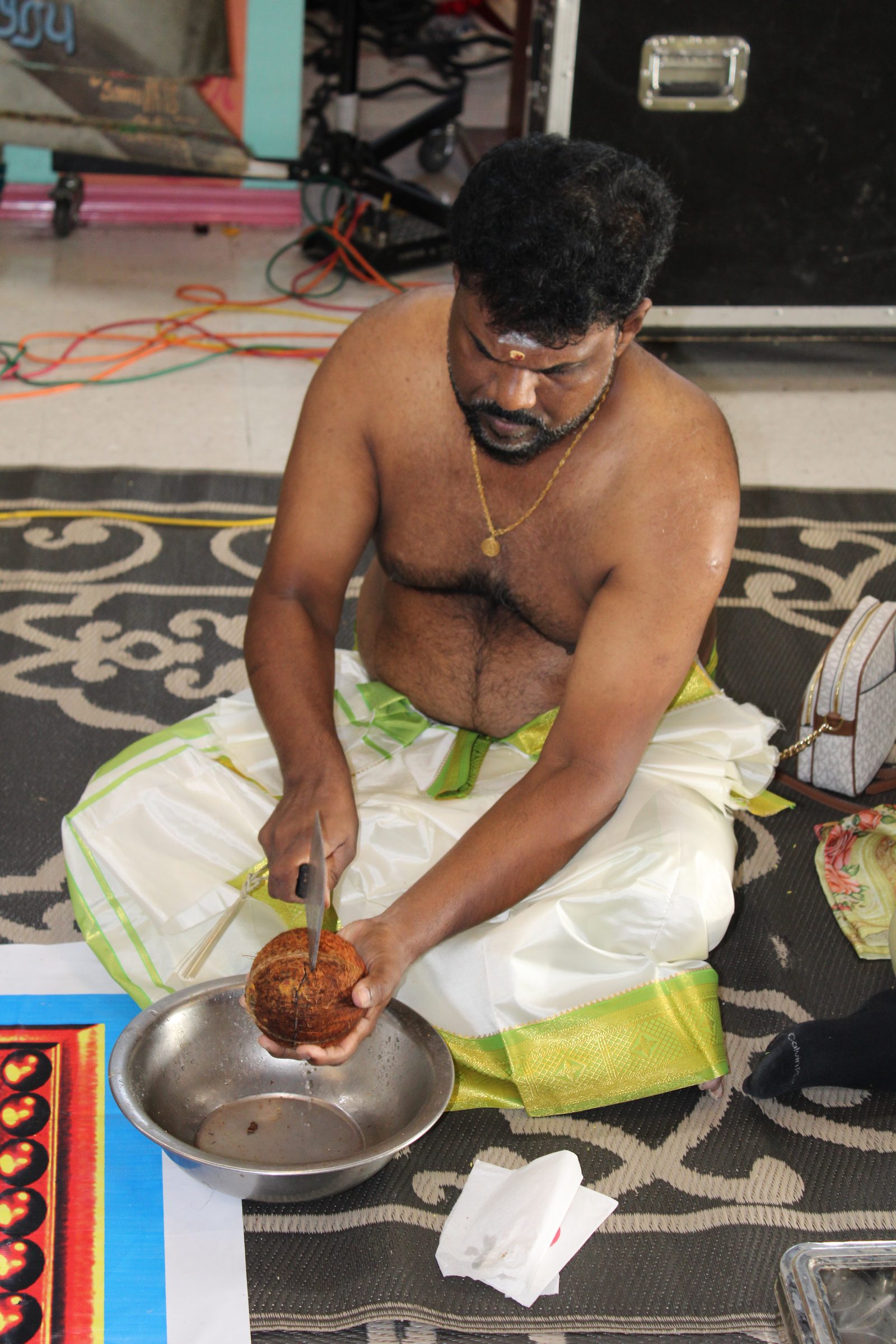 Festival 2024 photo