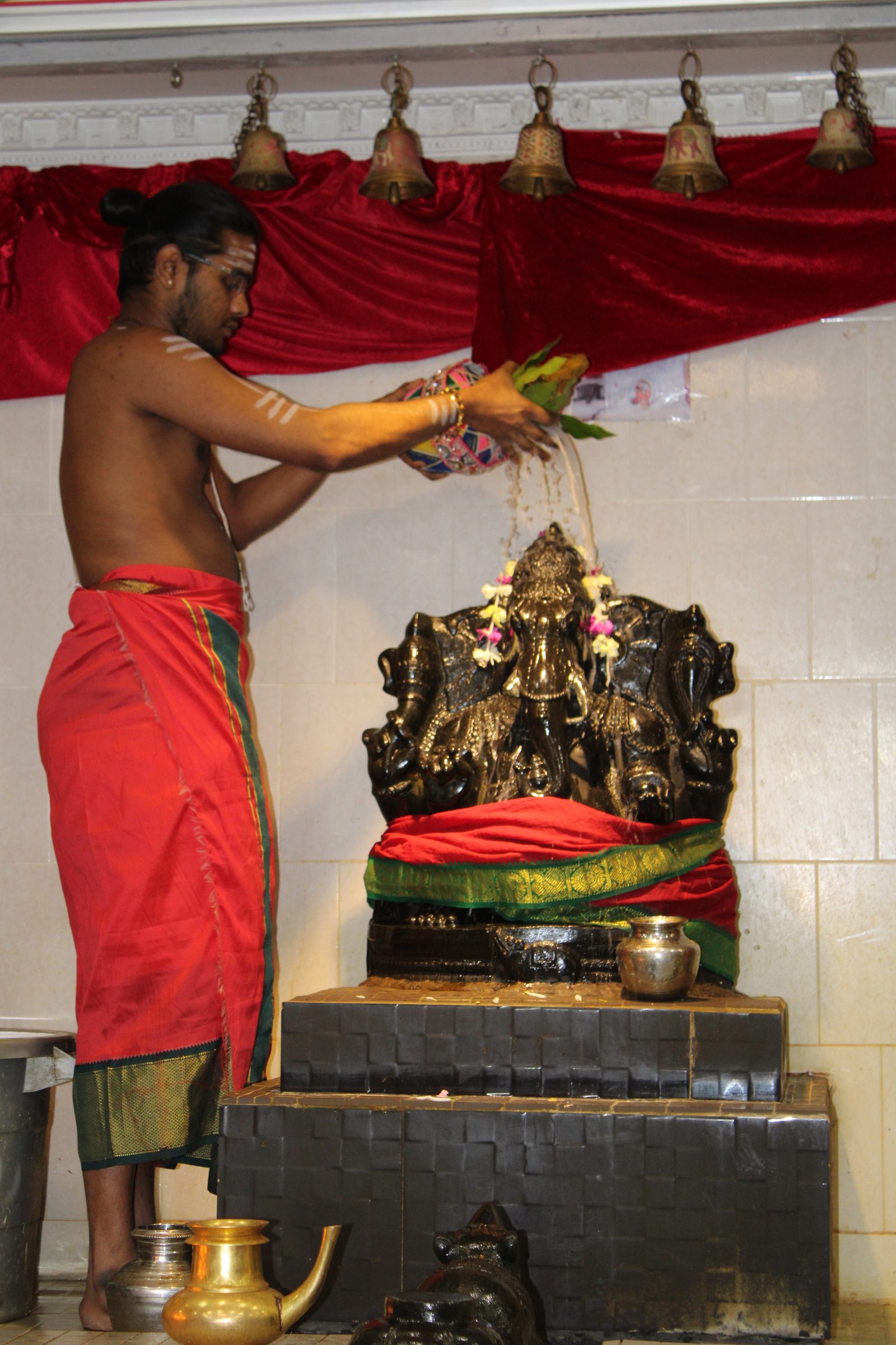 Festival 2024 photo