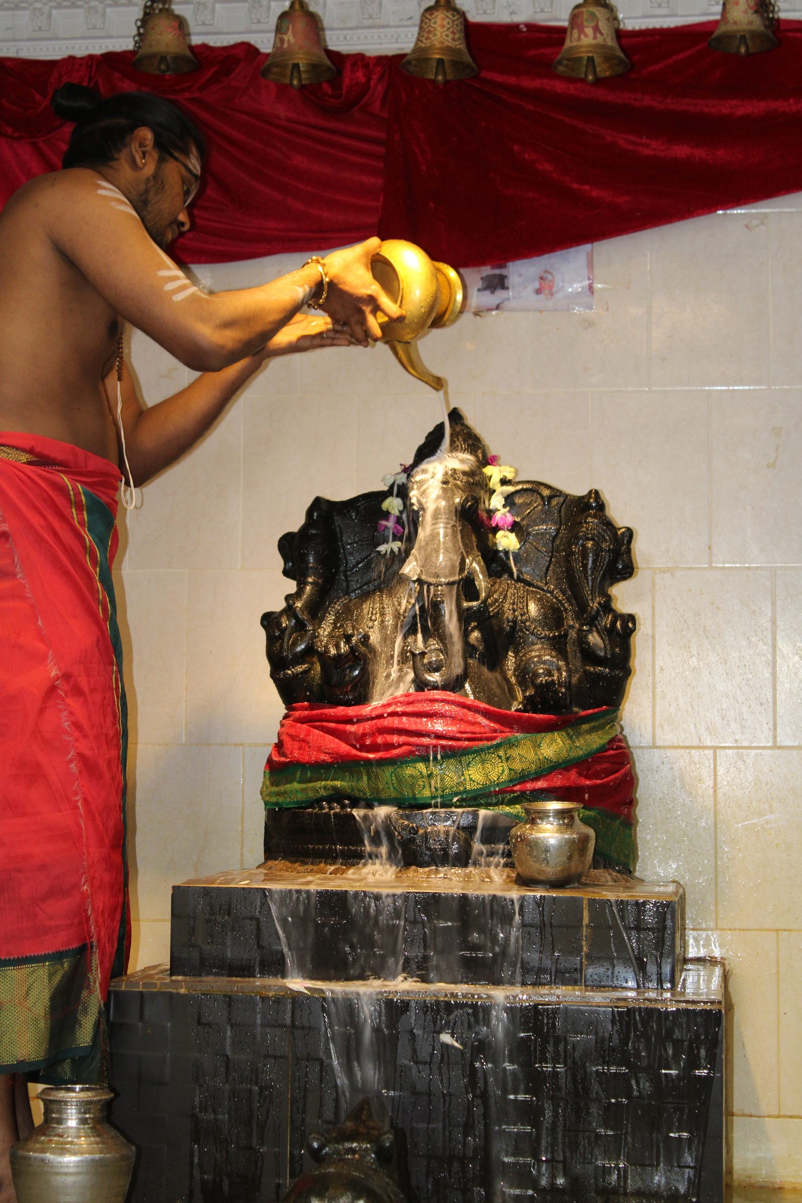 Festival 2024 photo