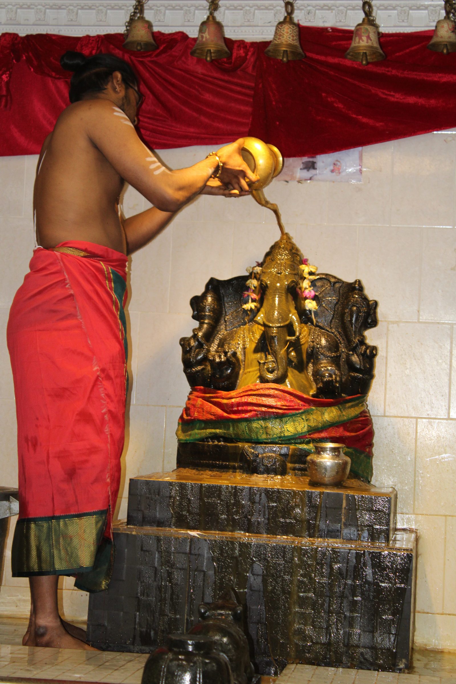 Festival 2024 photo