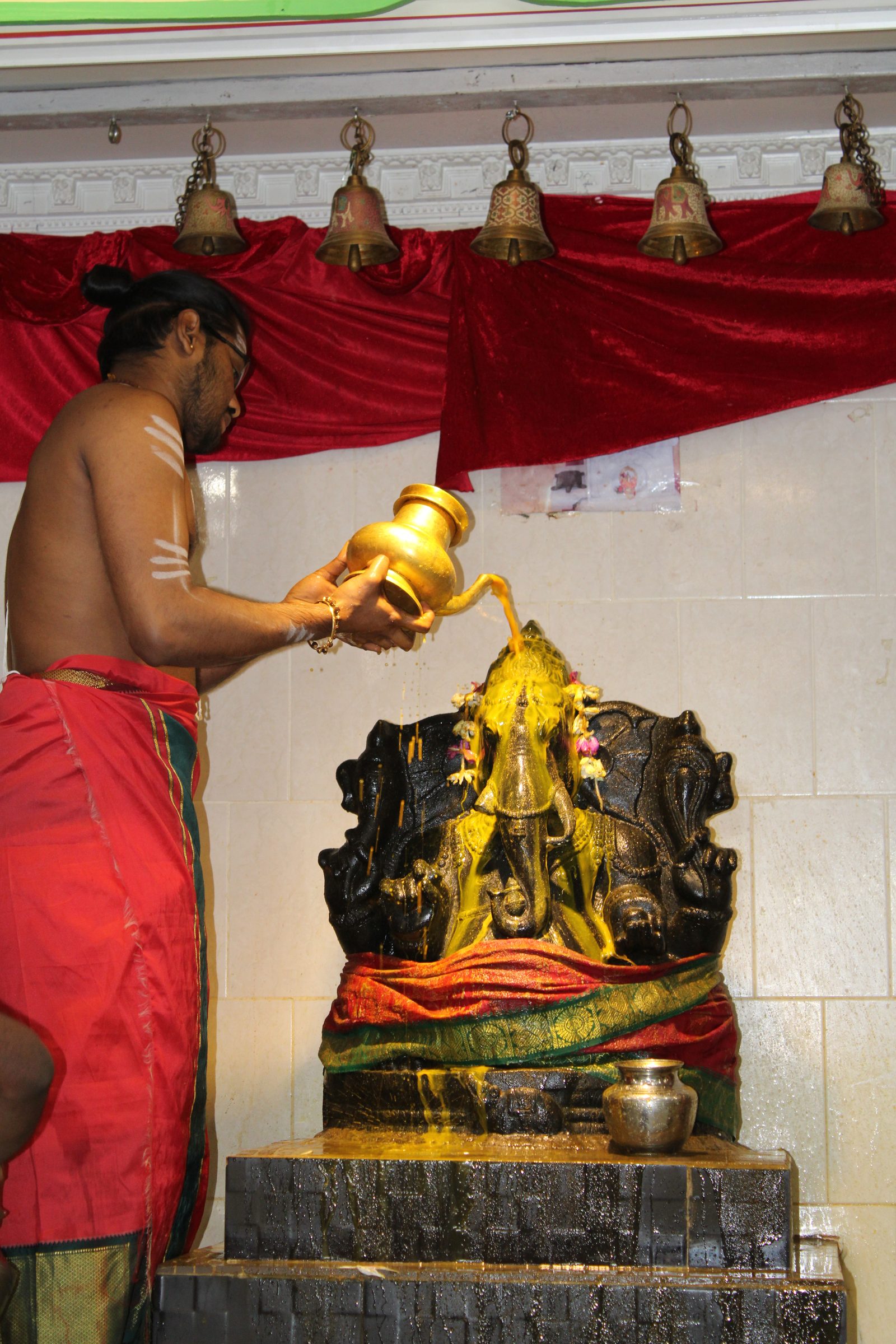 Festival 2024 photo