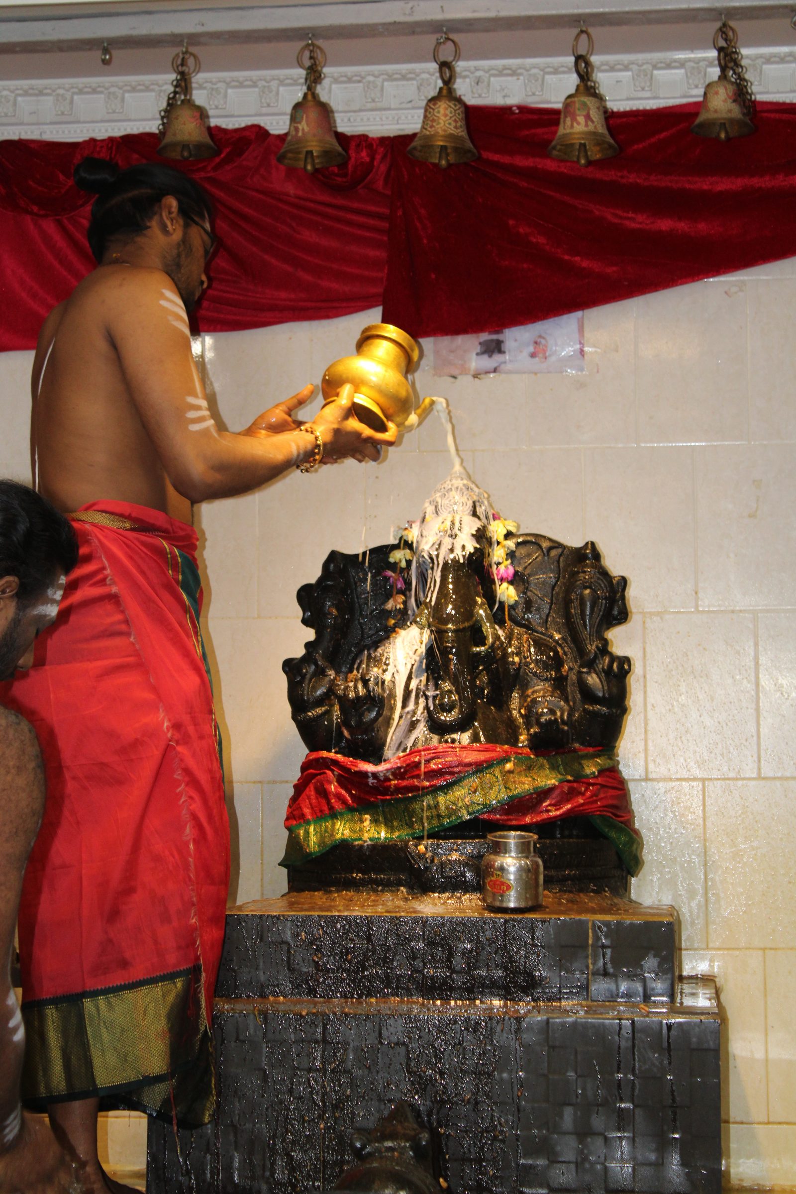 Festival 2024 photo
