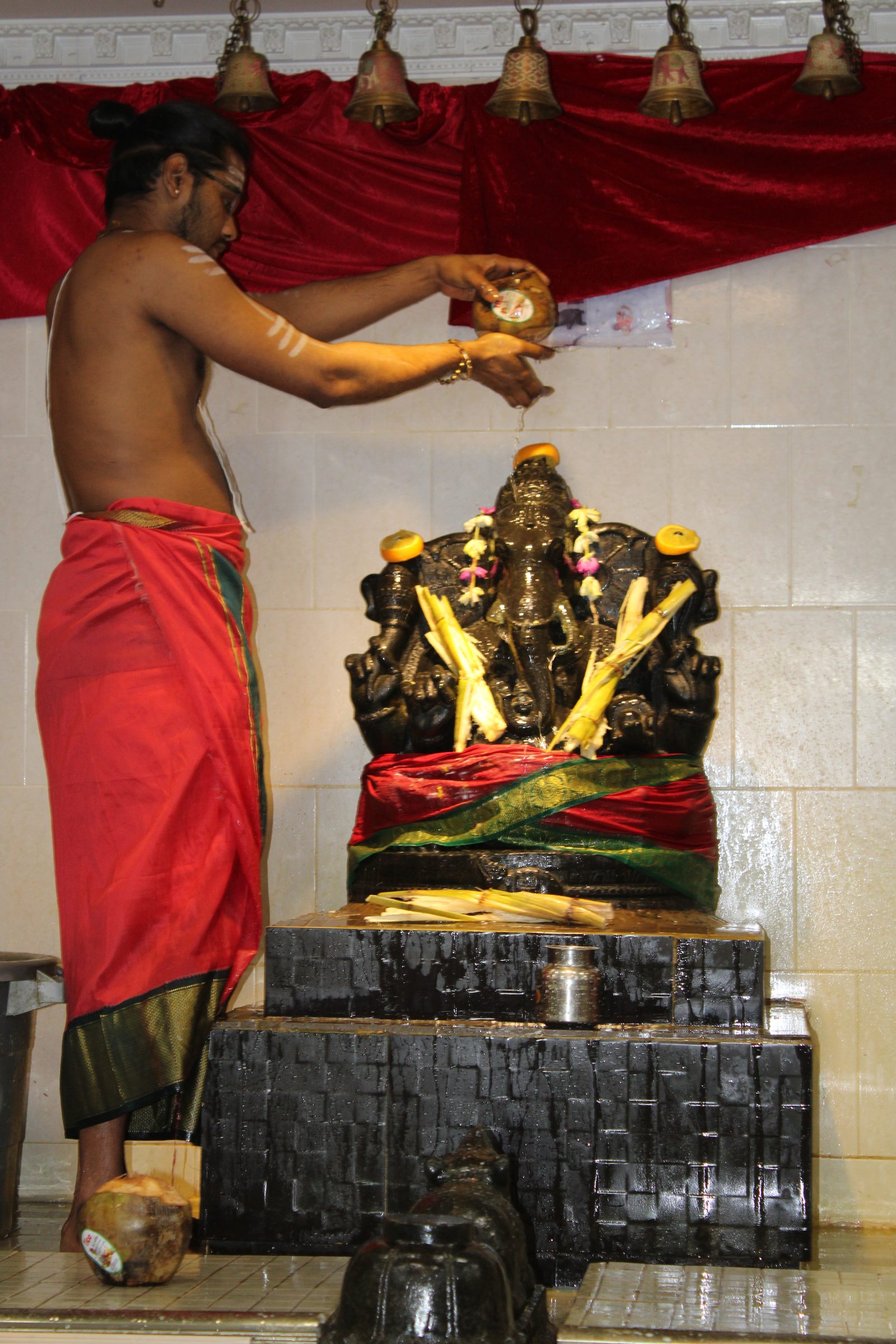 Festival 2024 photo