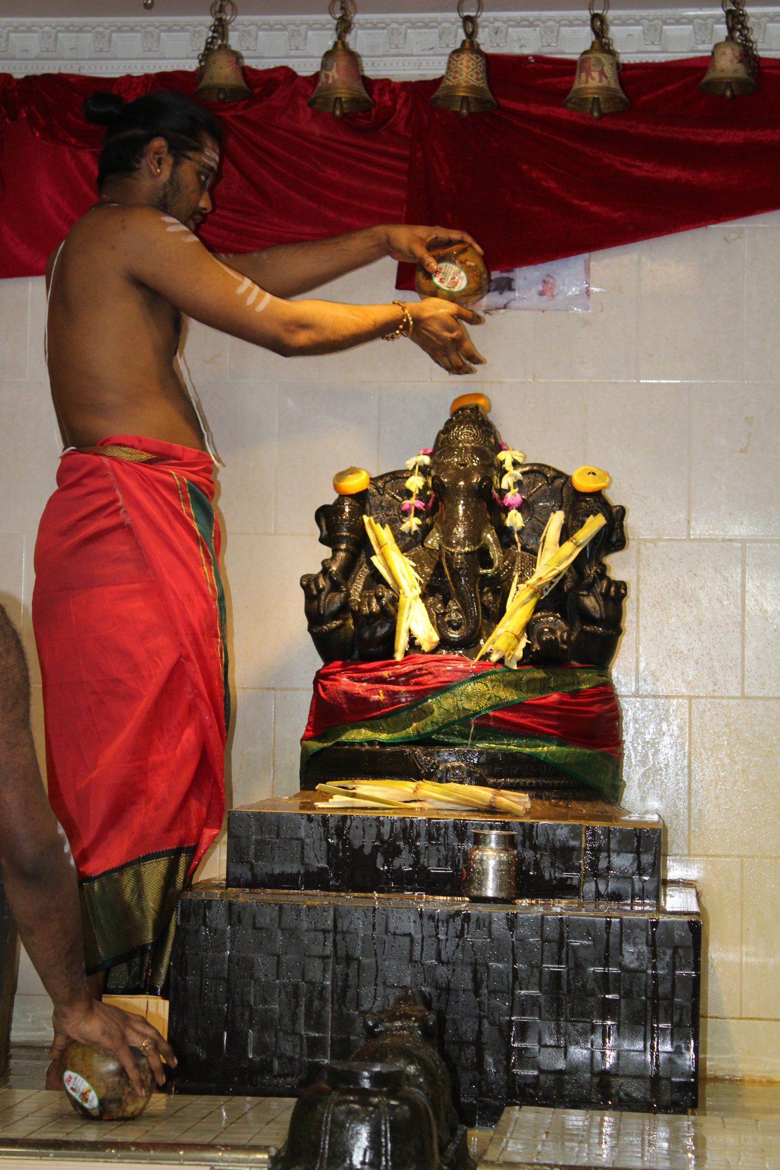 Festival 2024 photo