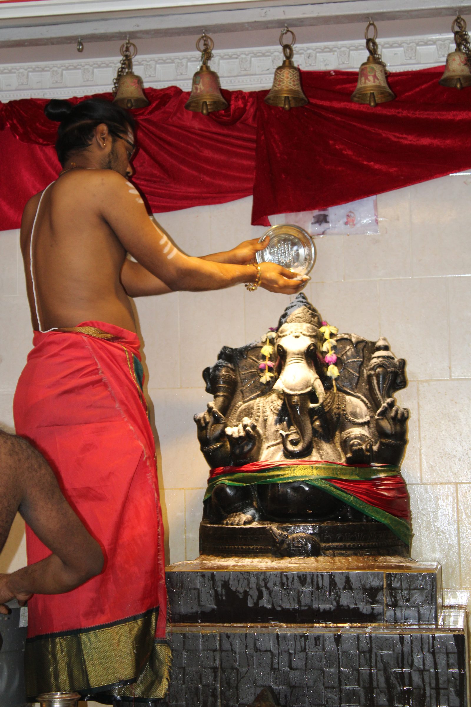 Festival 2024 photo