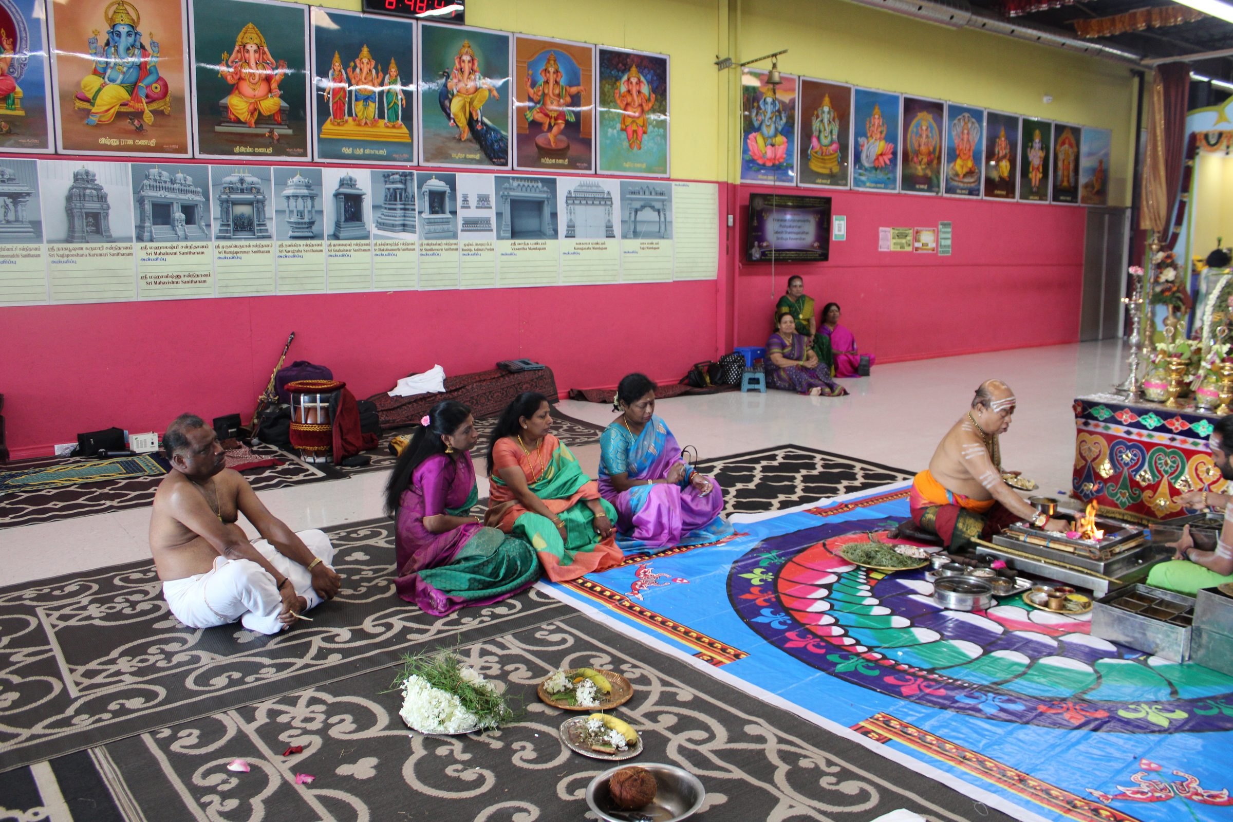 Festival 2024 photo