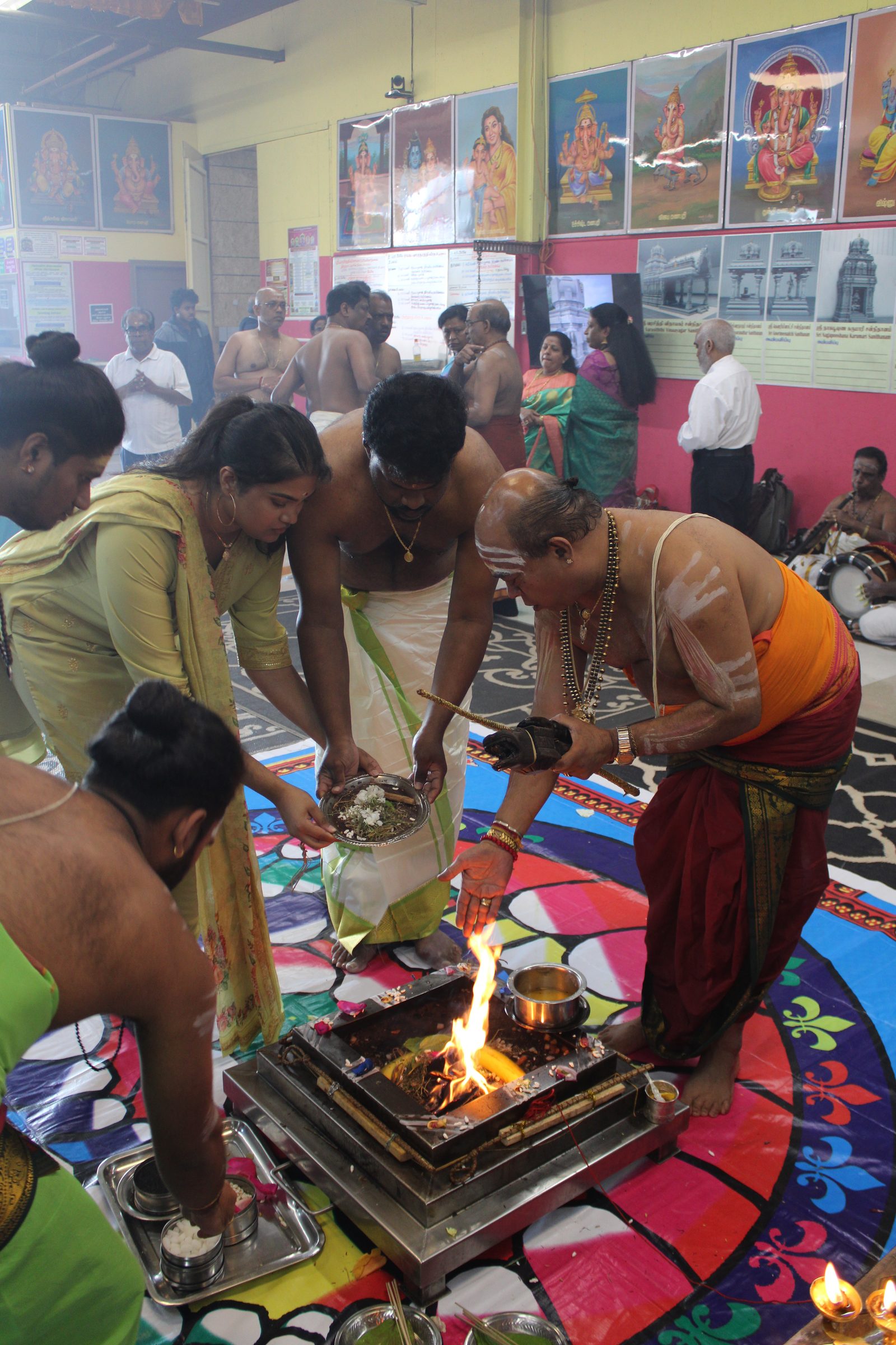 Festival 2024 photo