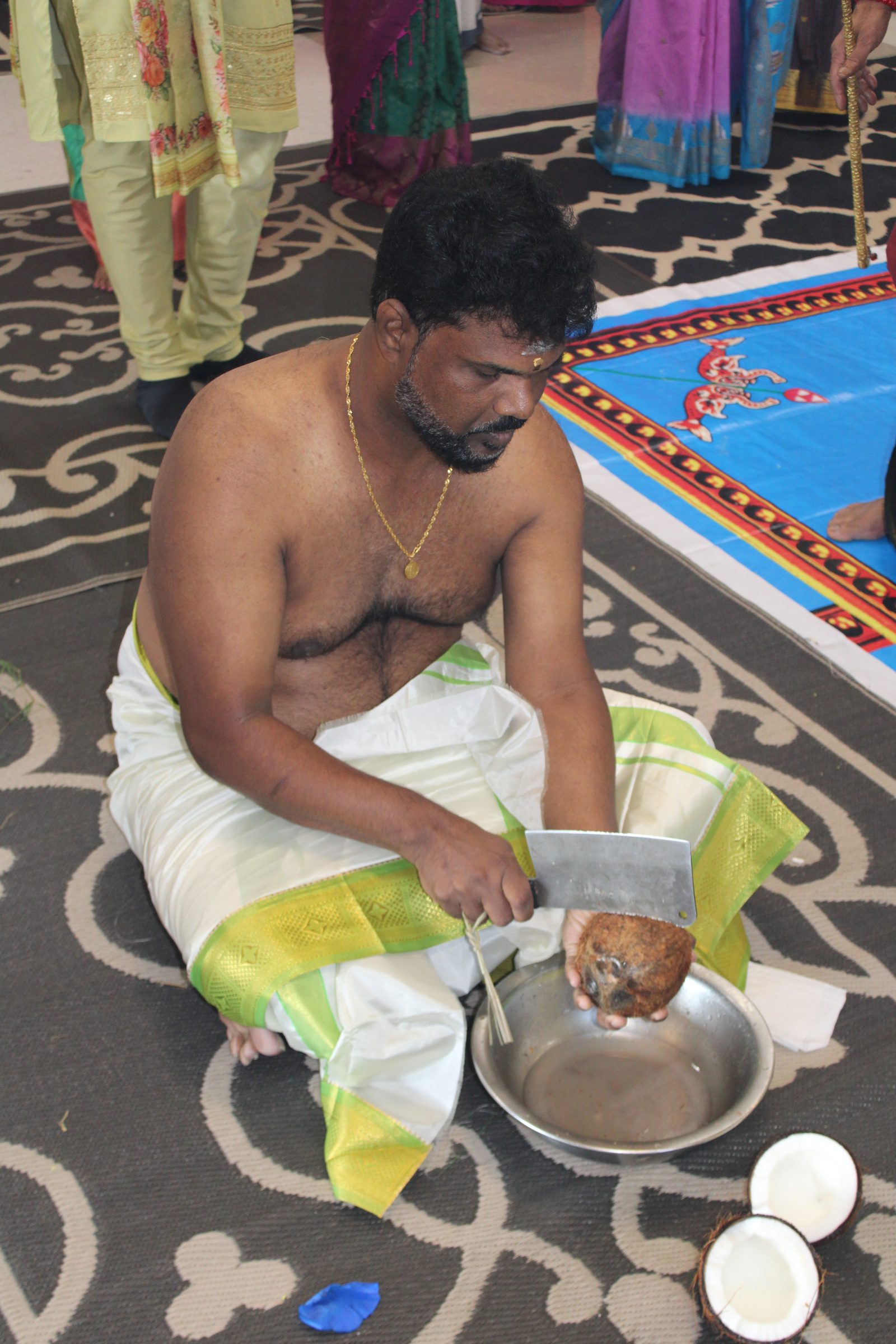 Festival 2024 photo