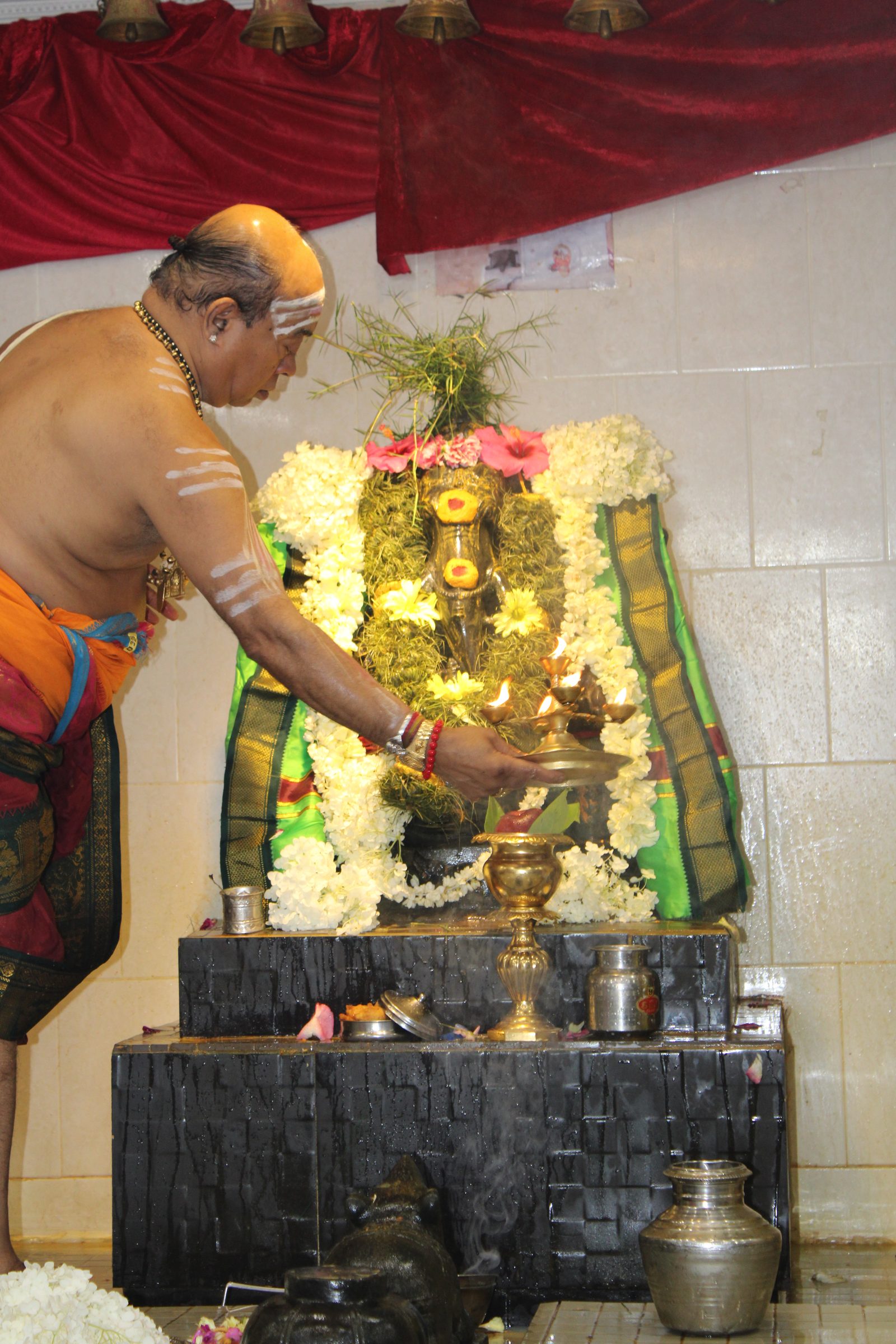 Festival 2024 photo