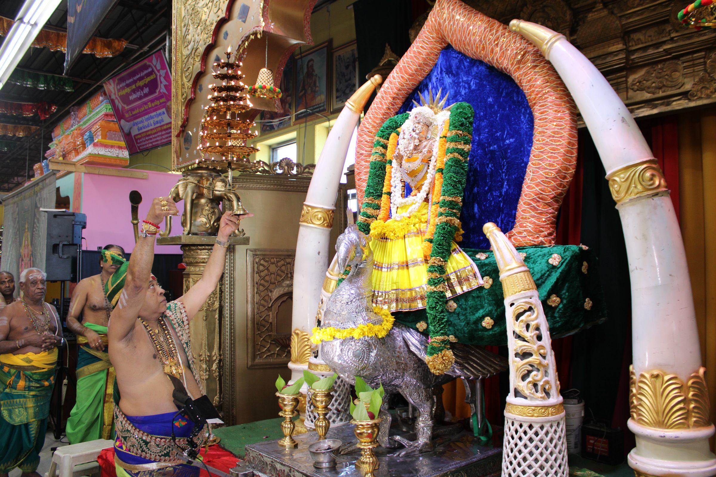 Festival 2024 photo