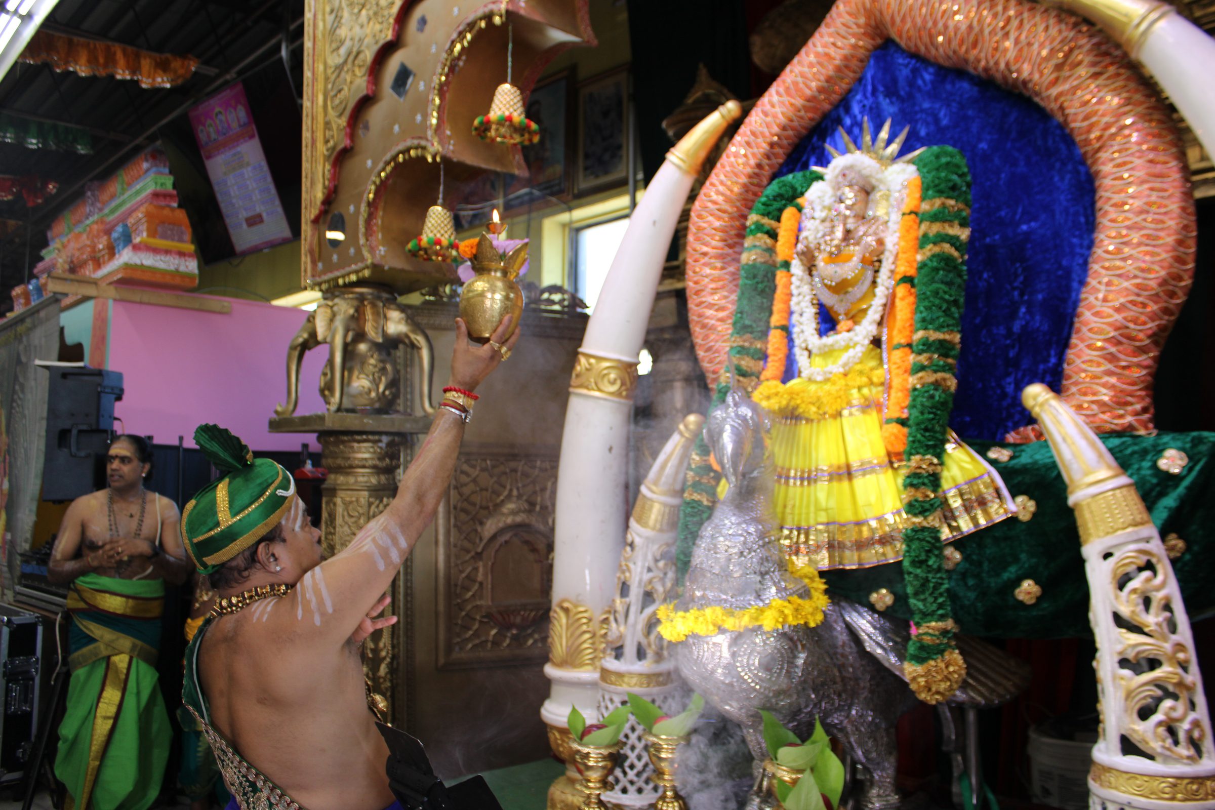 Festival 2024 photo