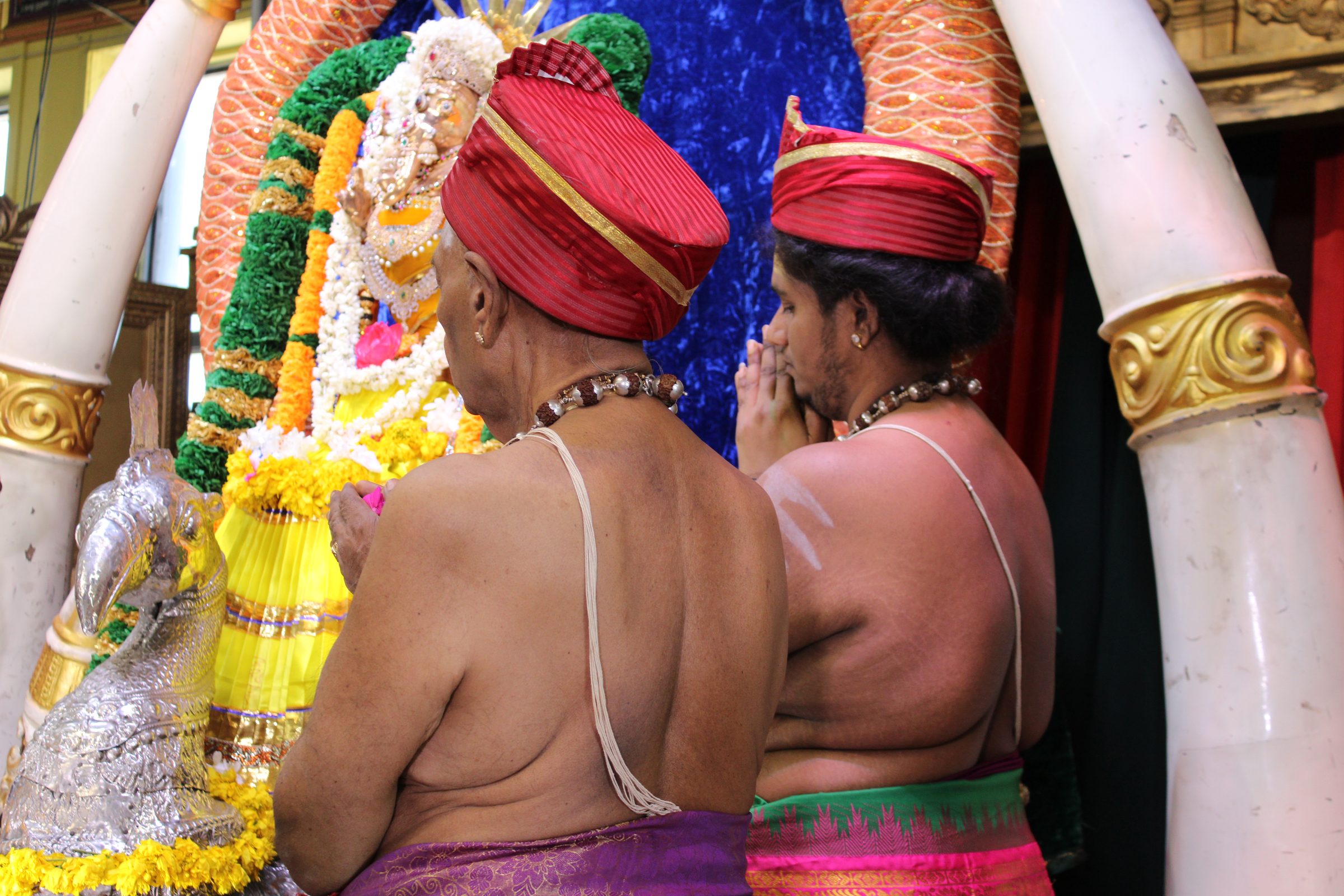 Festival 2024 photo