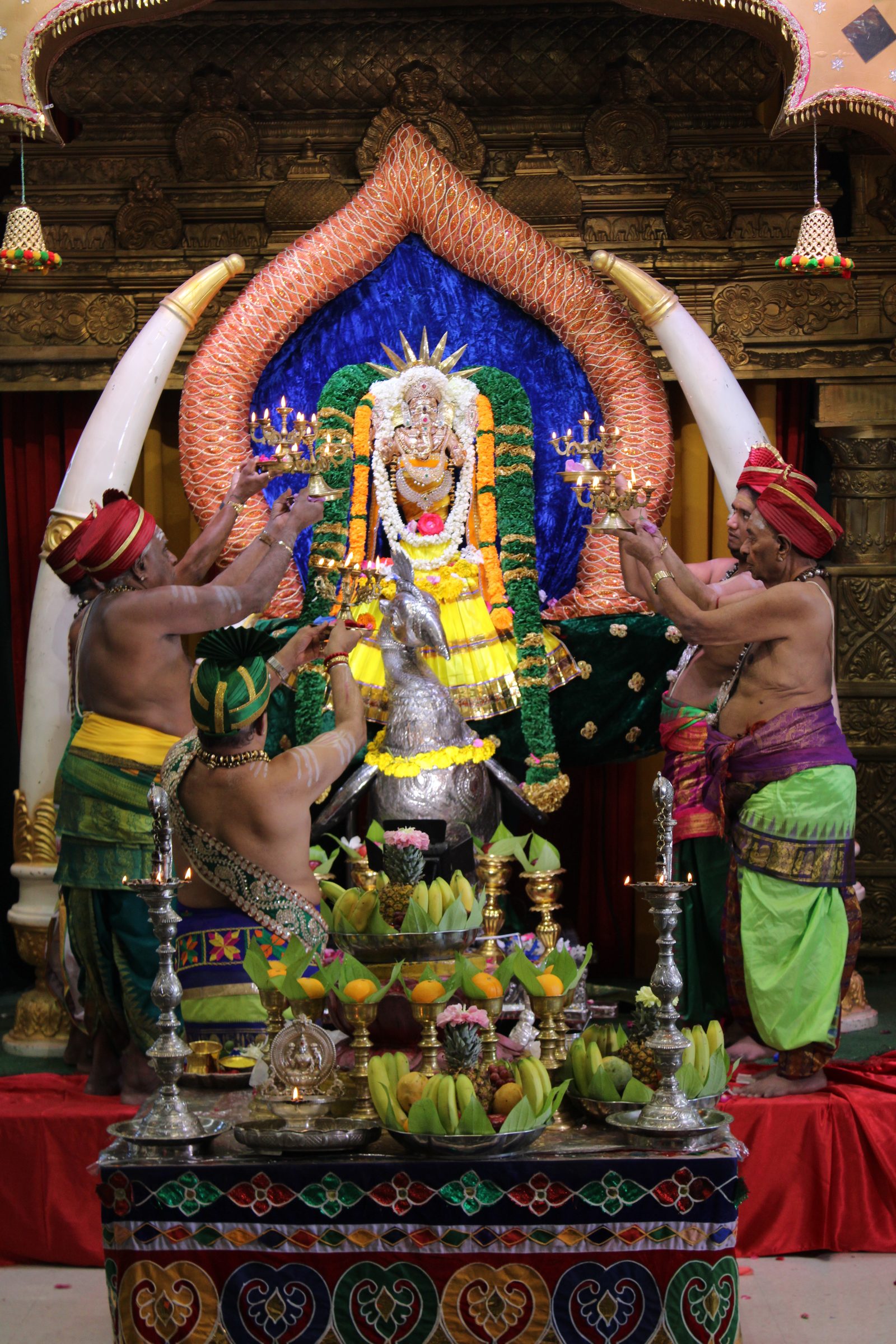 Festival 2024 photo