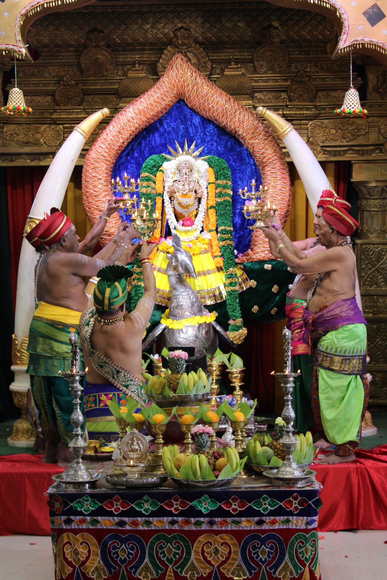 Festival 2024 photo