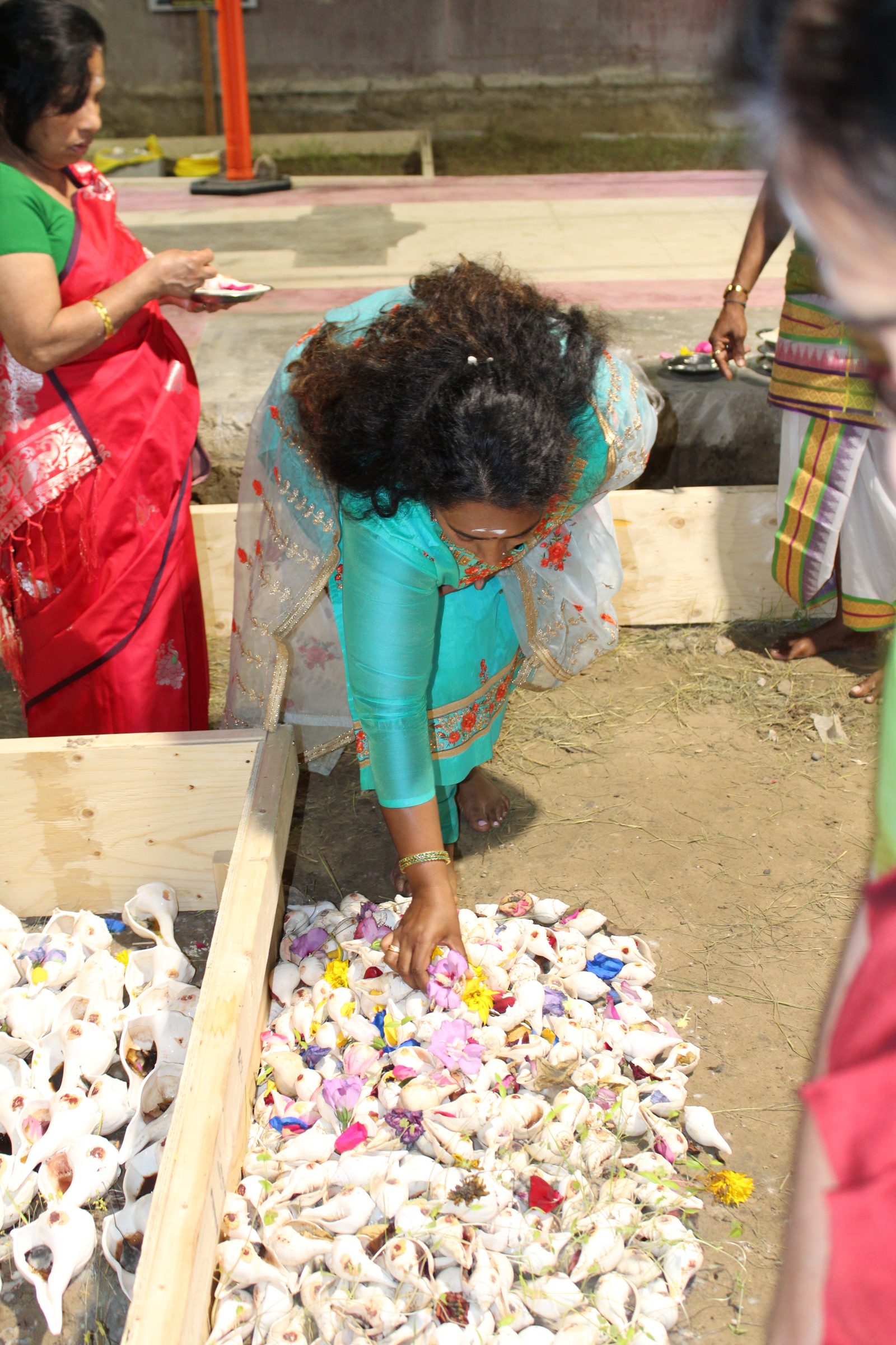 Festival 2024 photo