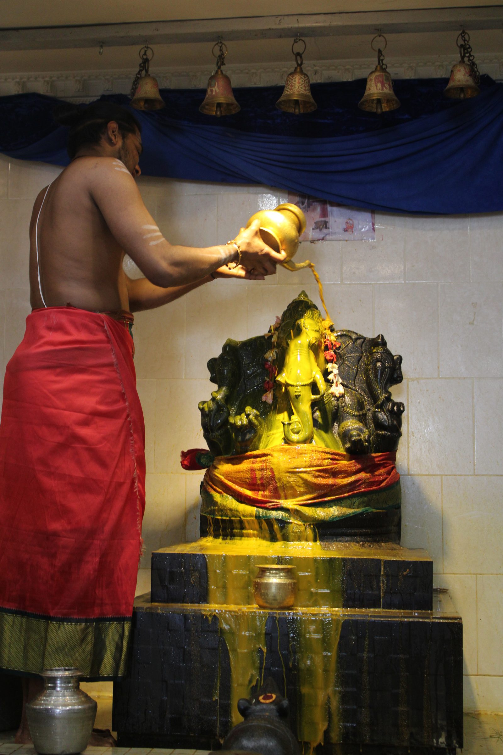 Festival 2024 photo