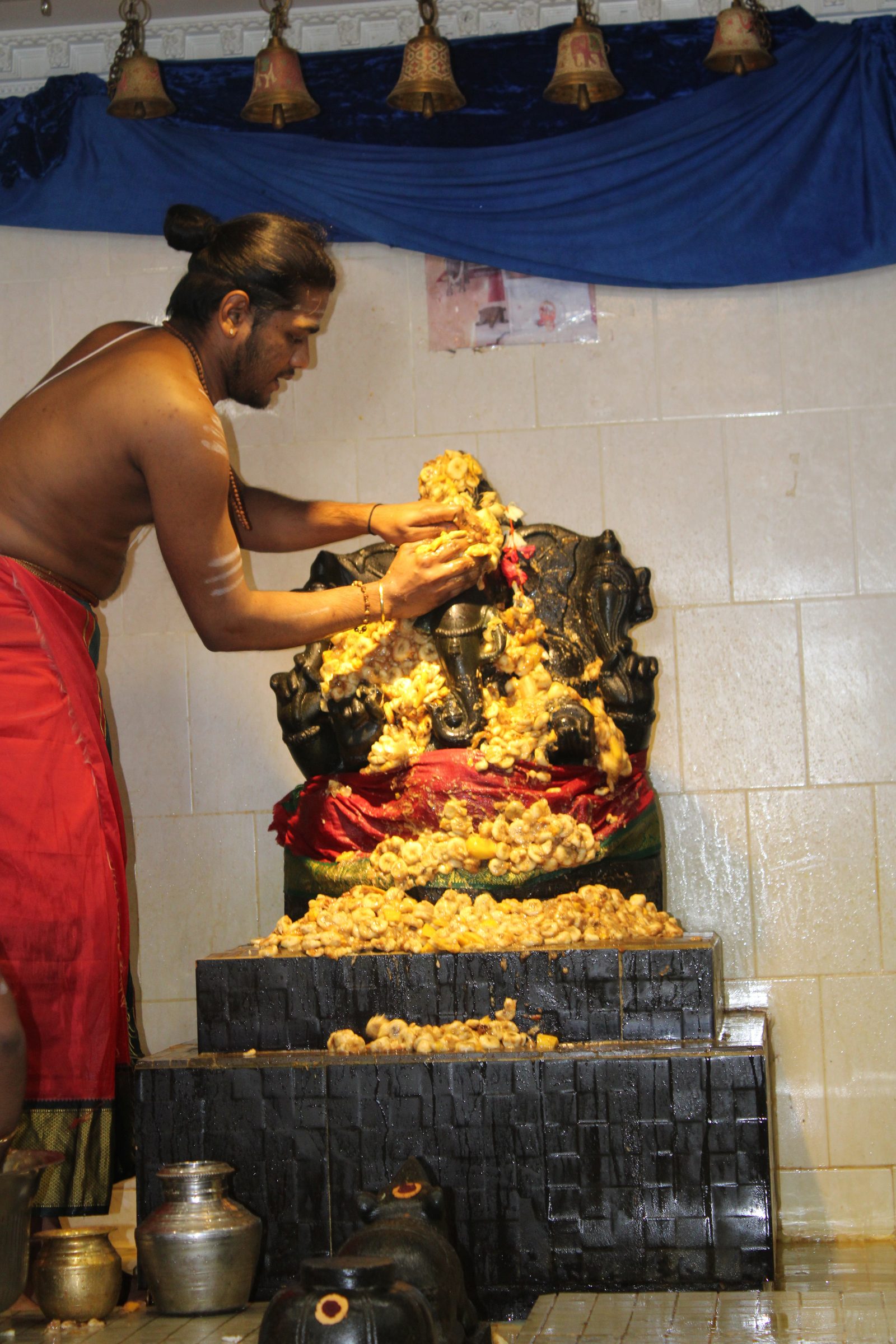 Festival 2024 photo